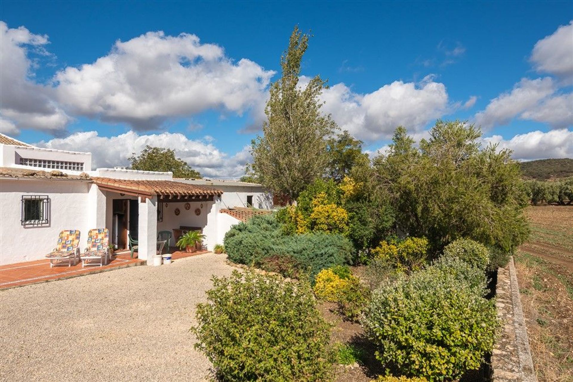 House in Archidona, Andalucía 12345660