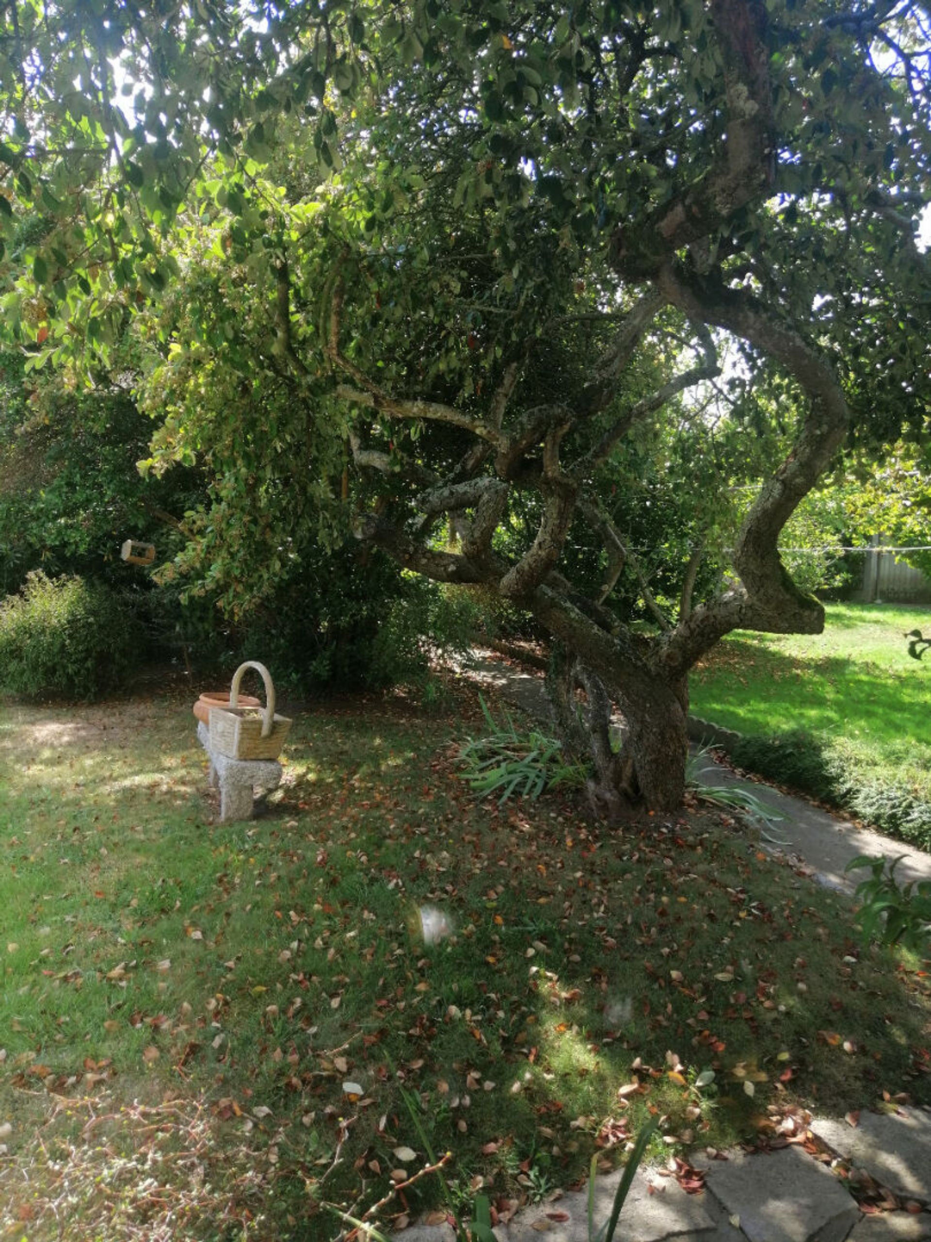 Talo sisään Plancoet, Bretagne 12345680