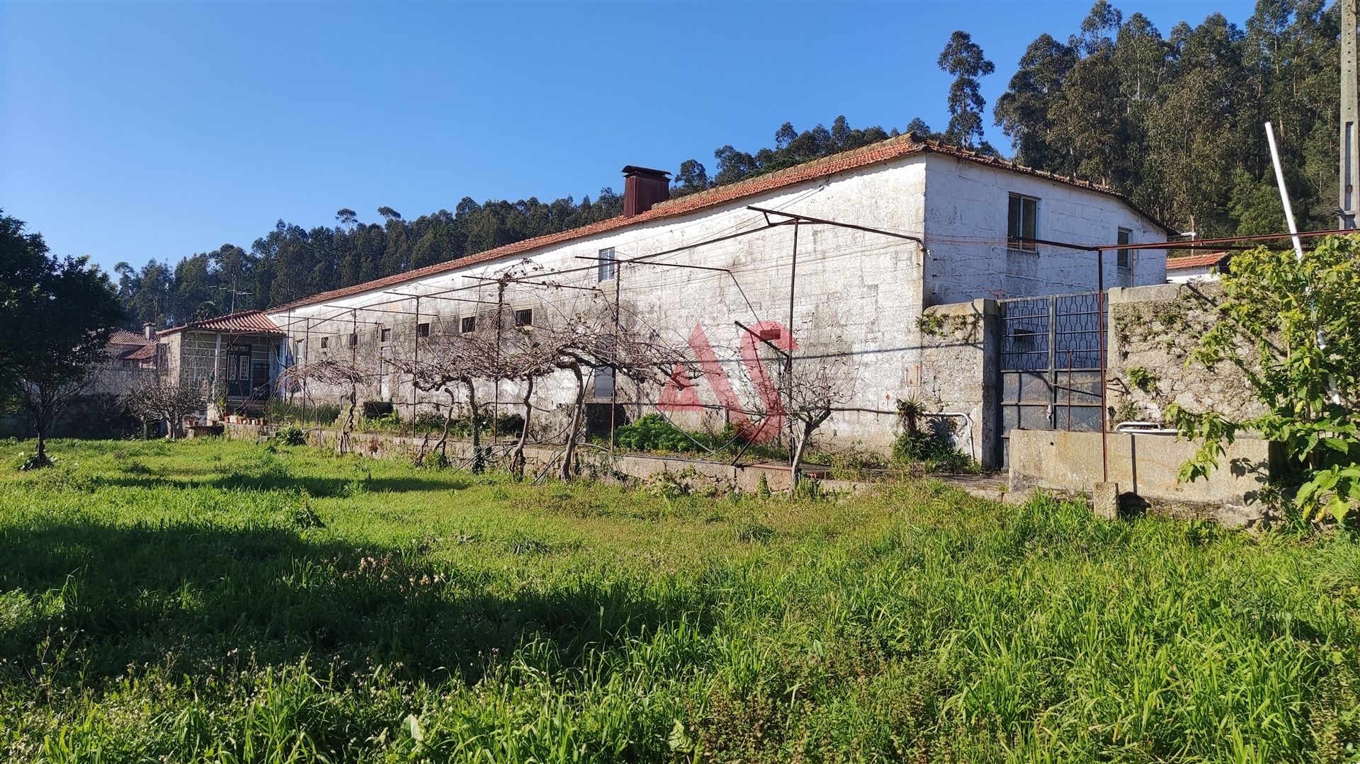 casa no Capa Rosa, Braga 12346207