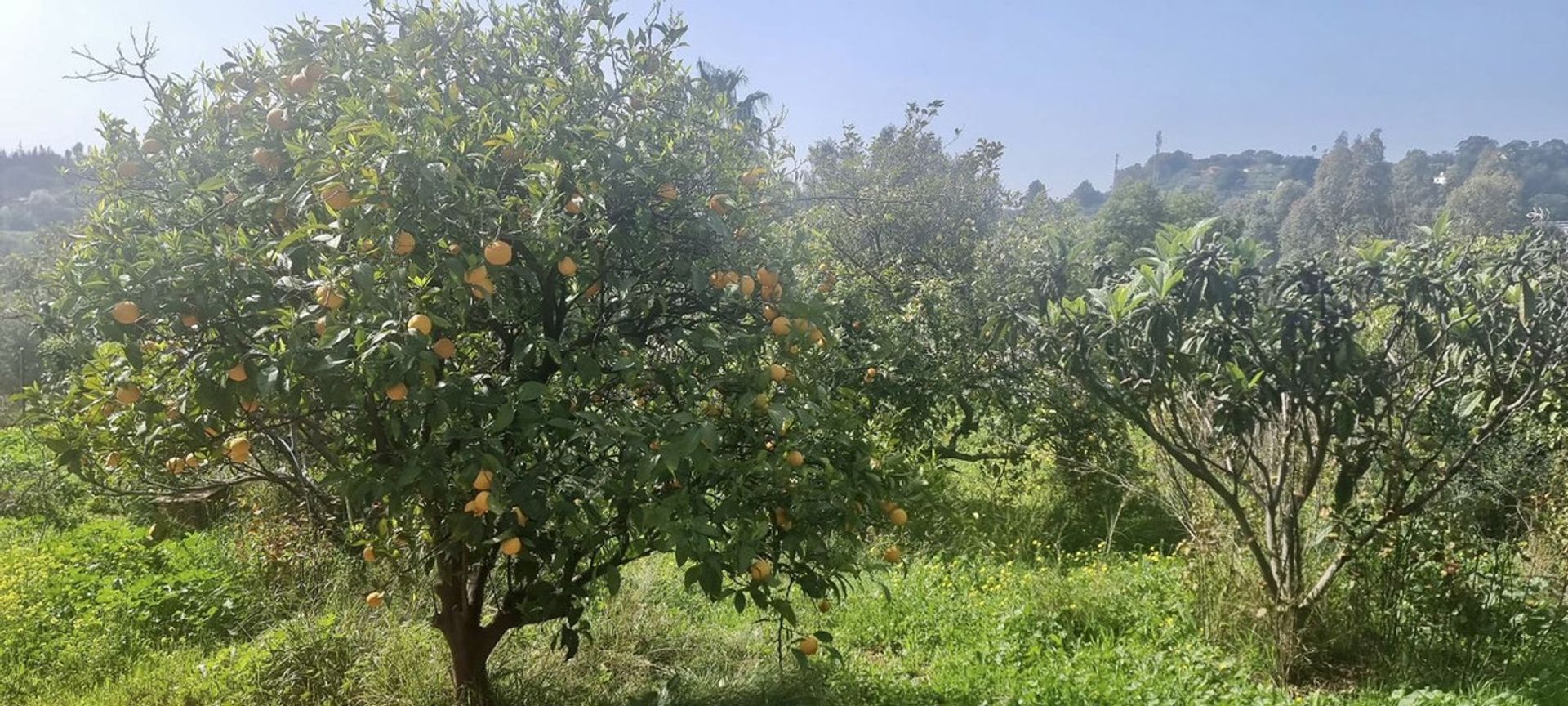 بيت في Estepona, Andalusia 12347319