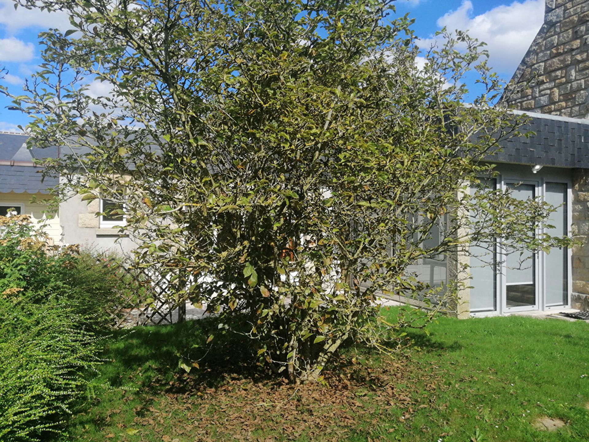 rumah dalam Plancoët, Brittany 12347998