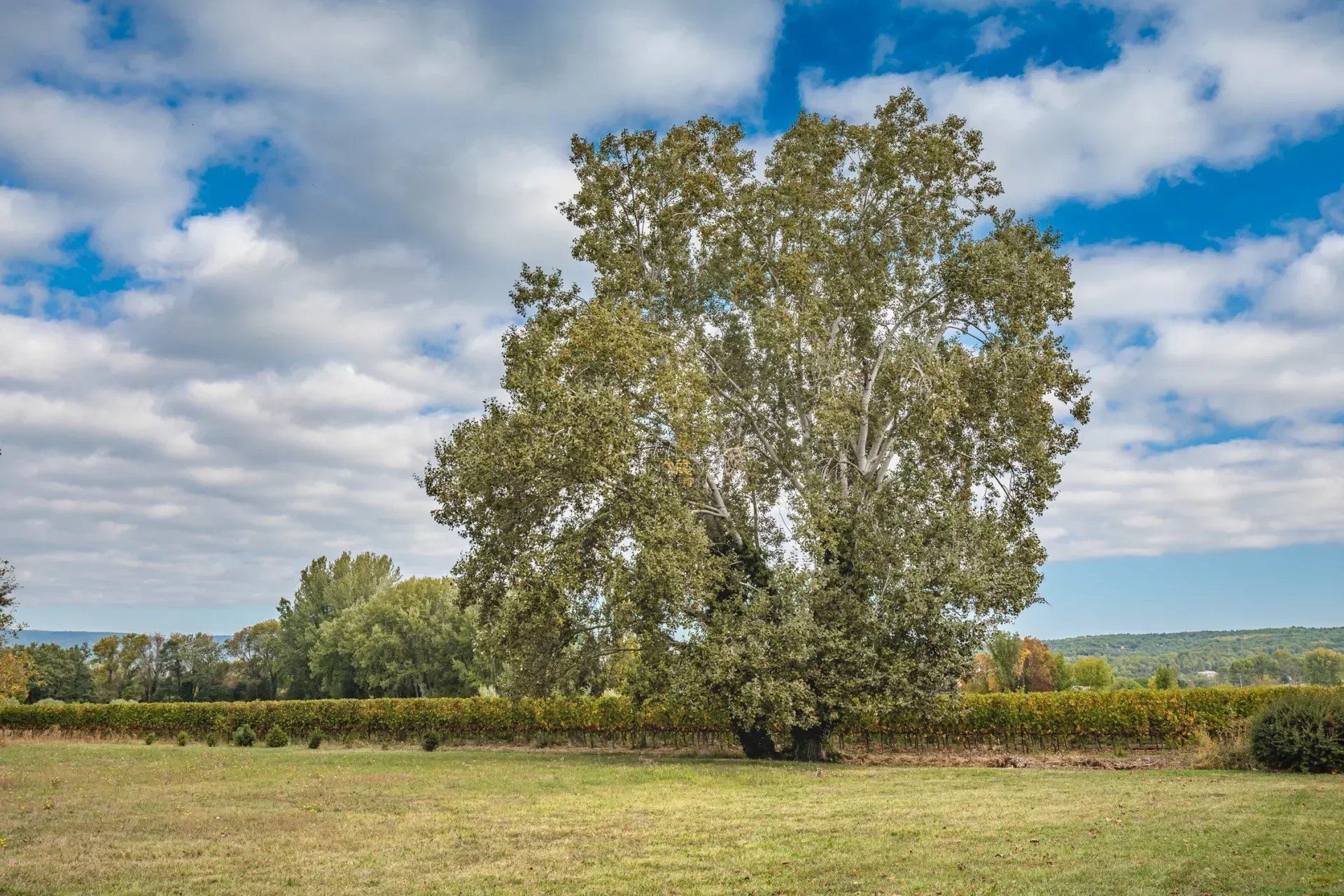 Muu sisään Ménerbes, Vaucluse 12347999