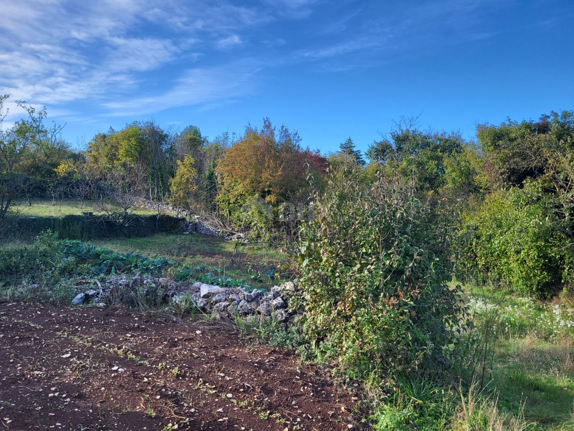 Tanah di Žminj, Istria County 12348304