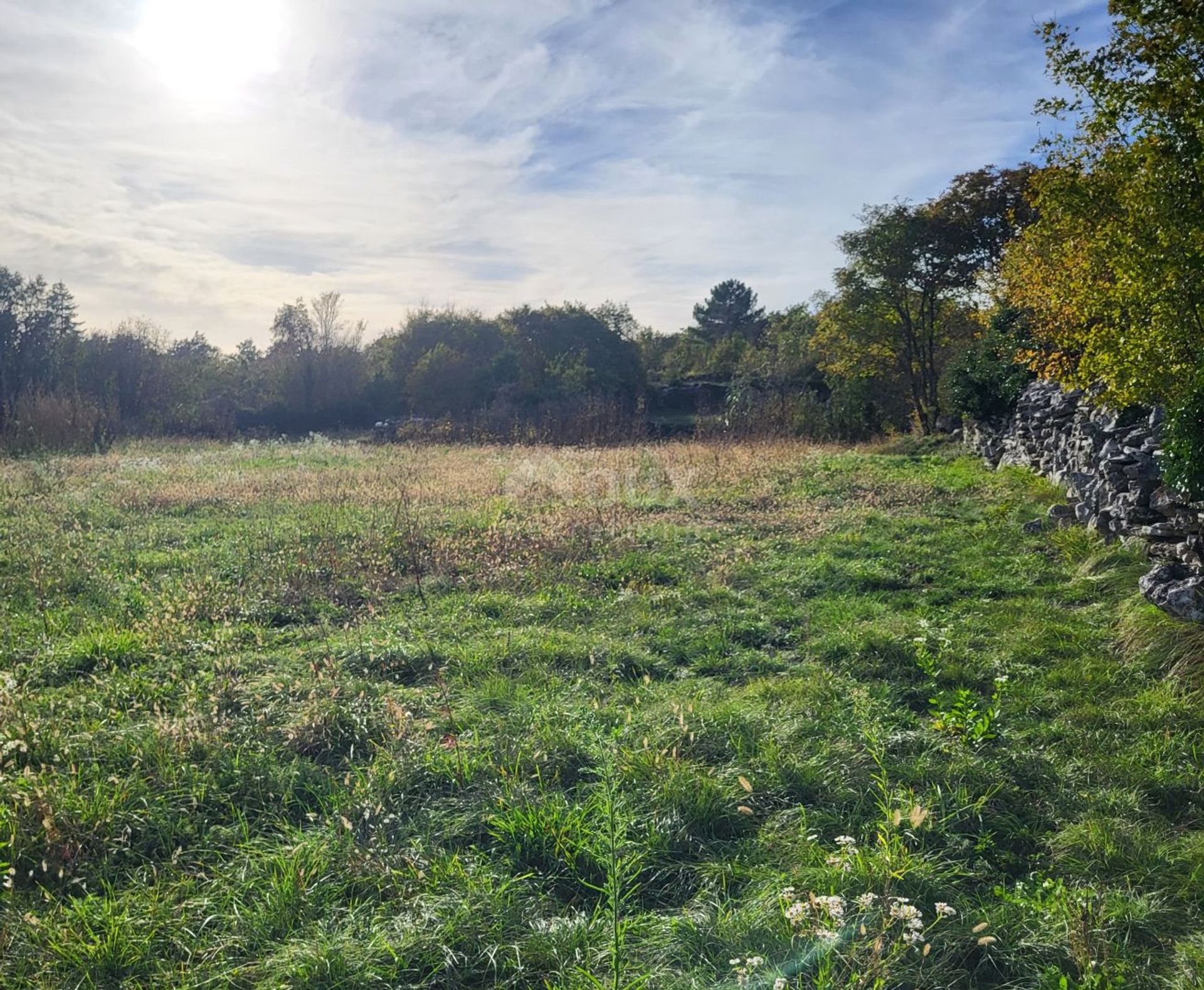 Land i Žminj, Istria County 12348304