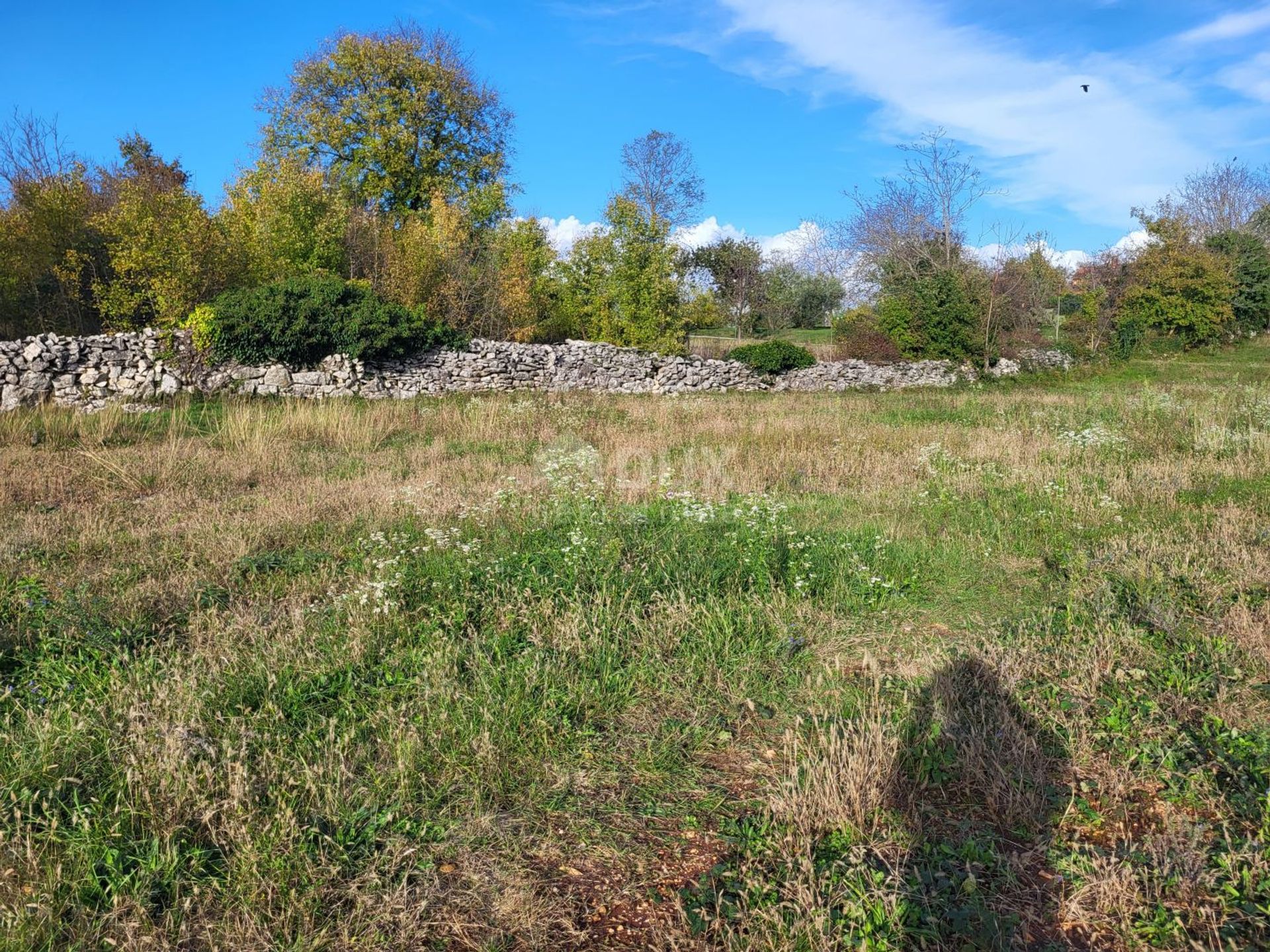 Tanah di Žminj, Istria County 12348304