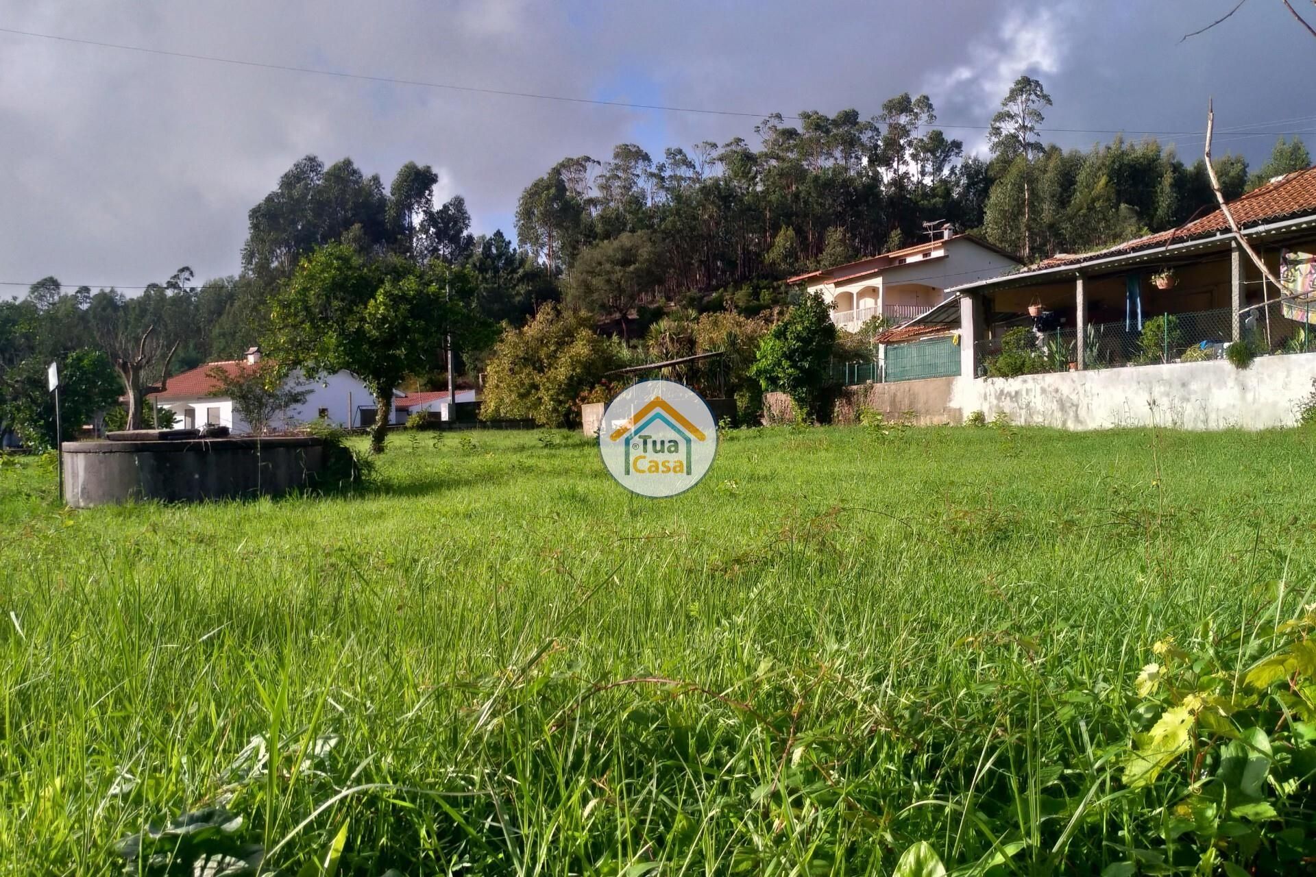 Tierra en Asafarge, Coímbra 12348537