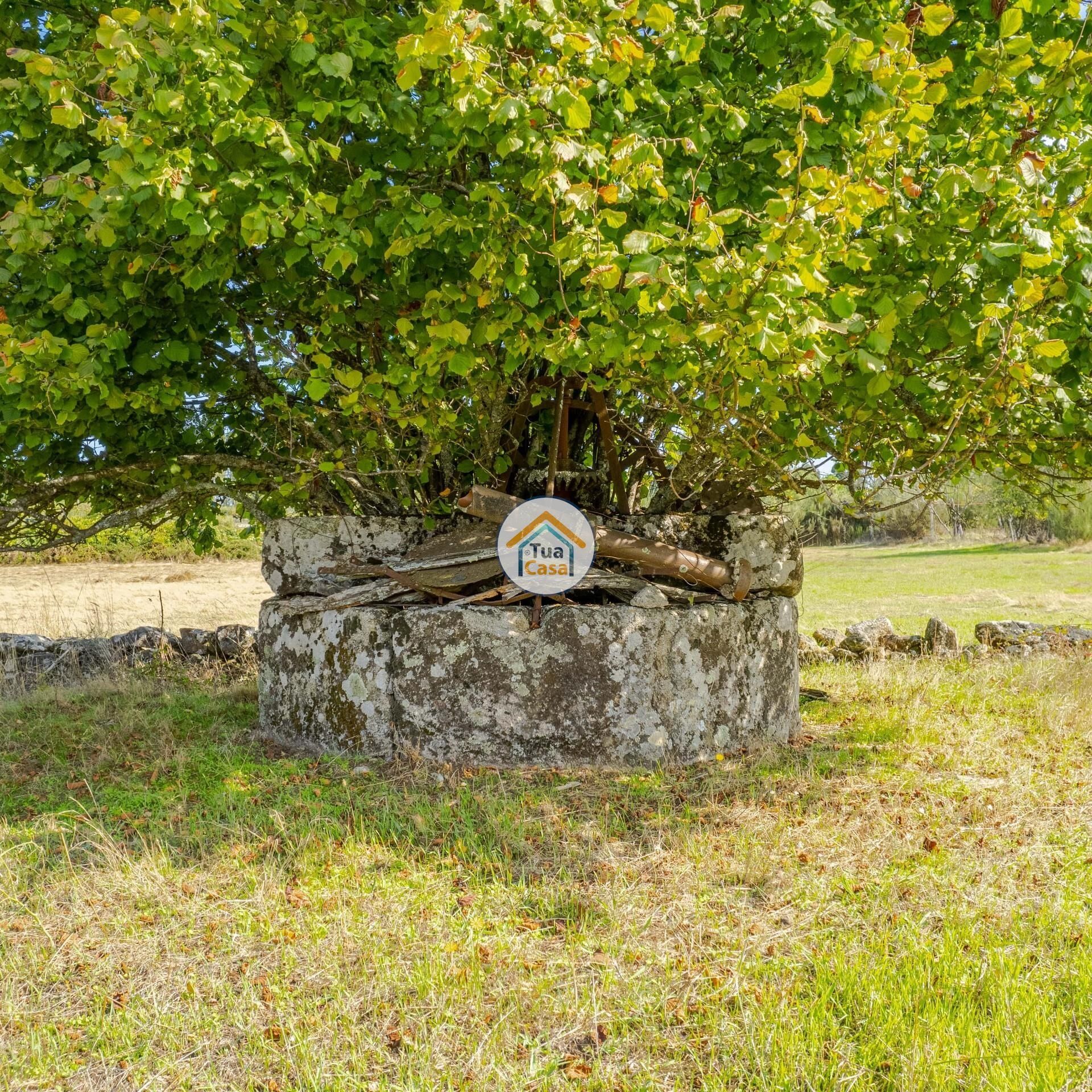 casa no Várzea de Tavares, Viseu 12348541