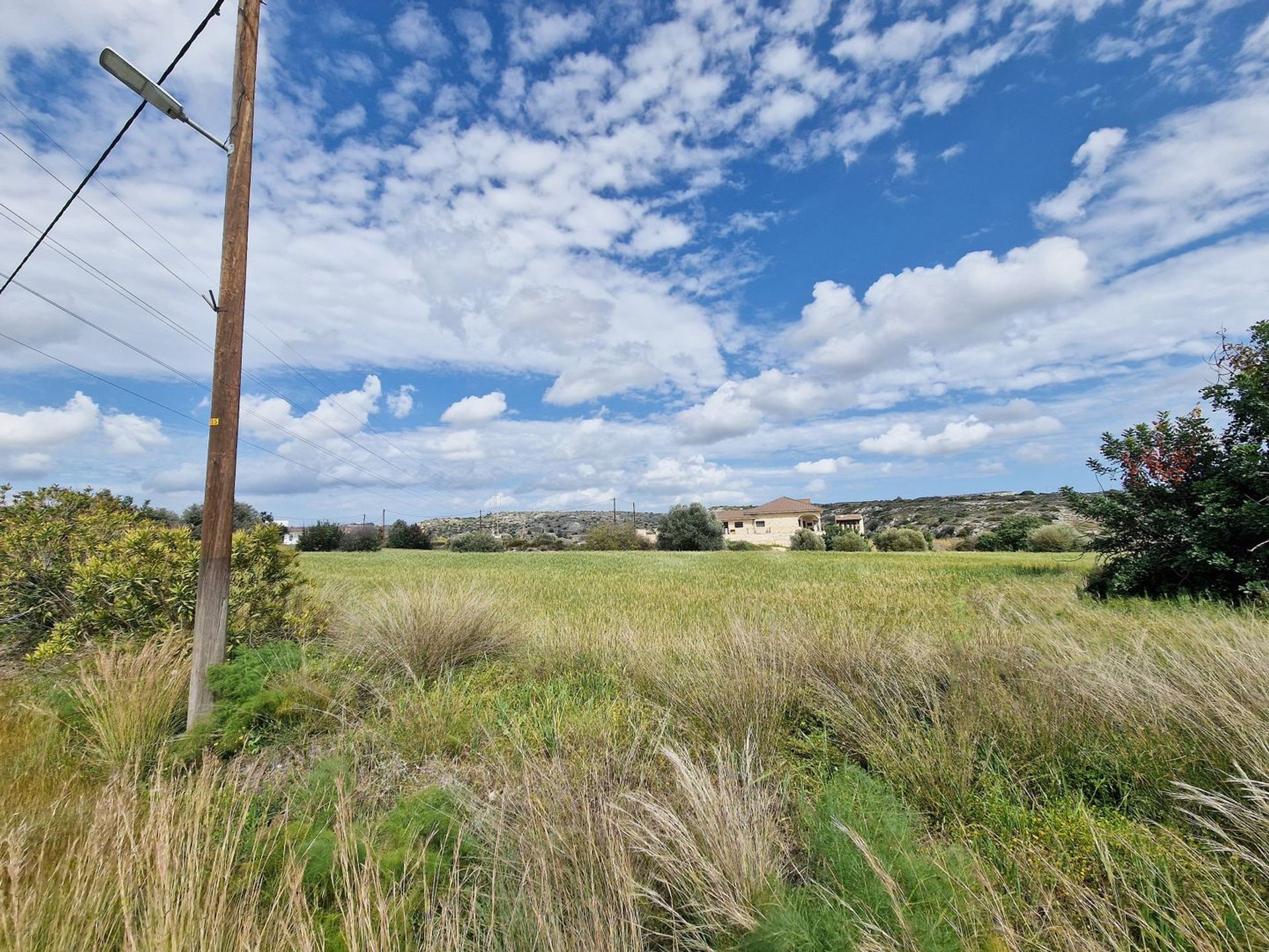 Terre dans Taşkent, Larnaka 12348845