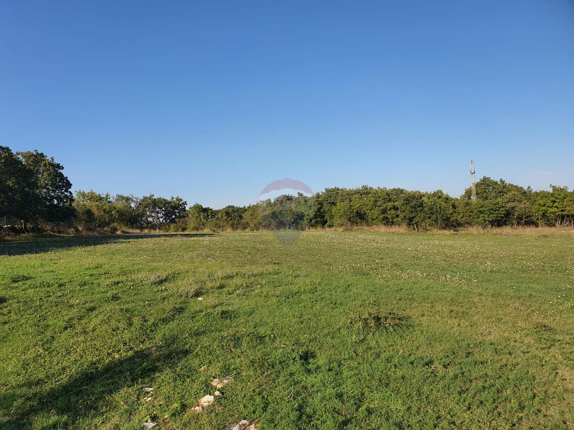 Terre dans Cokuni, Istarska županija 12349110