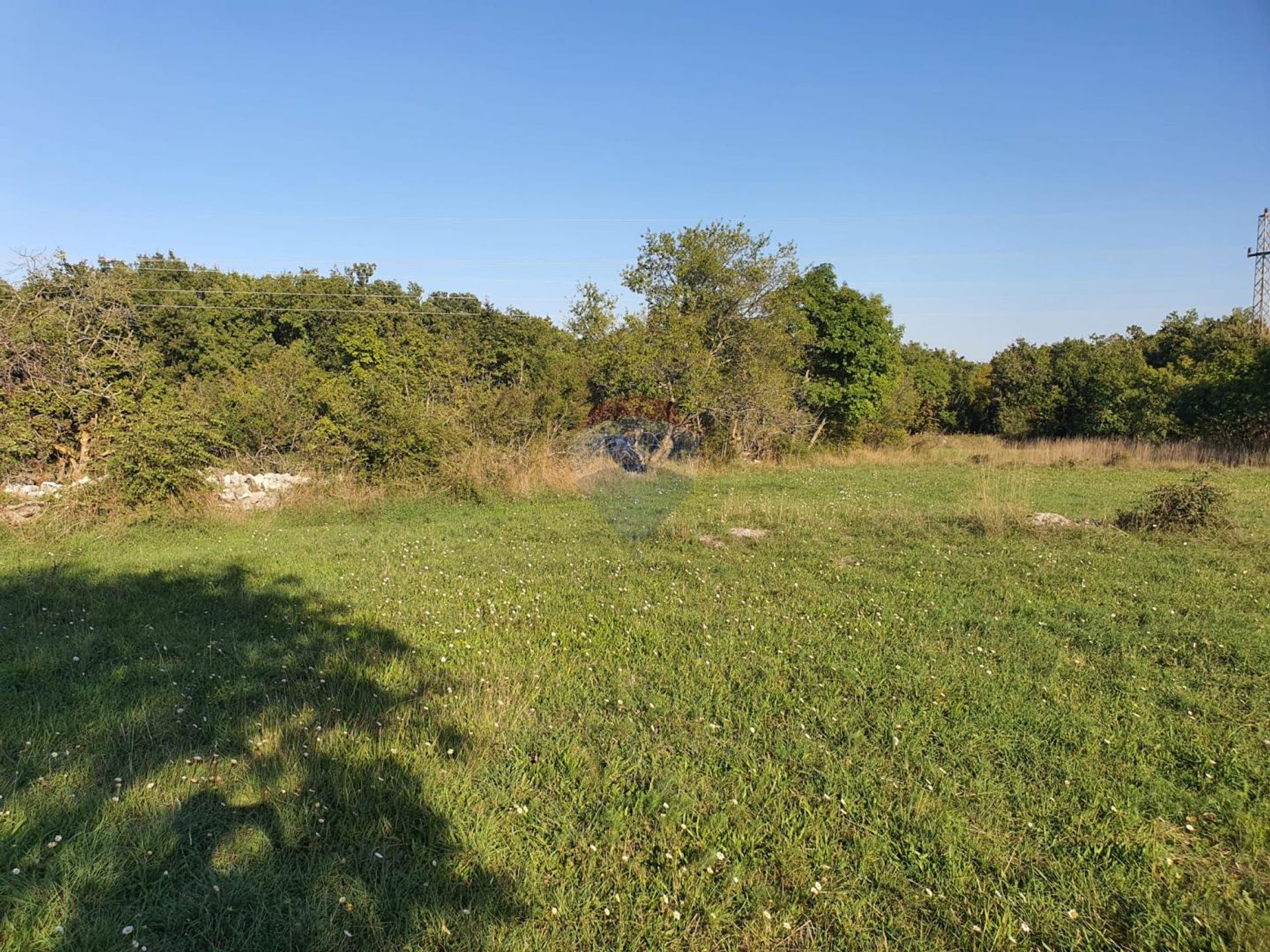 Terre dans Cokuni, Istarska županija 12349110