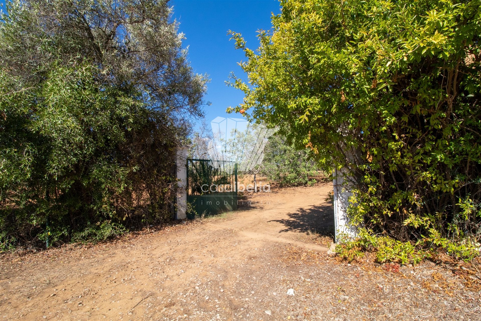 casa no Tavira, Faro 12349743