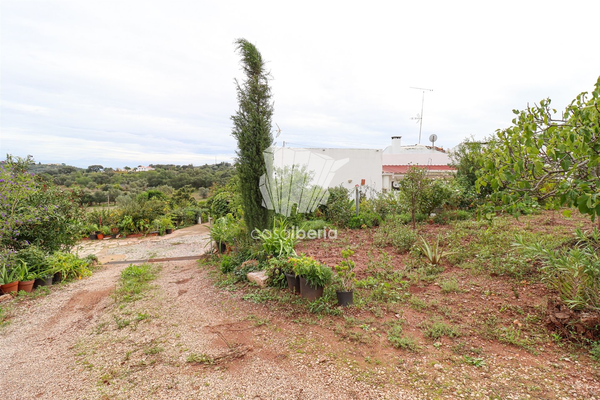 loger dans São Brás de Alportel, Faro District 12350046