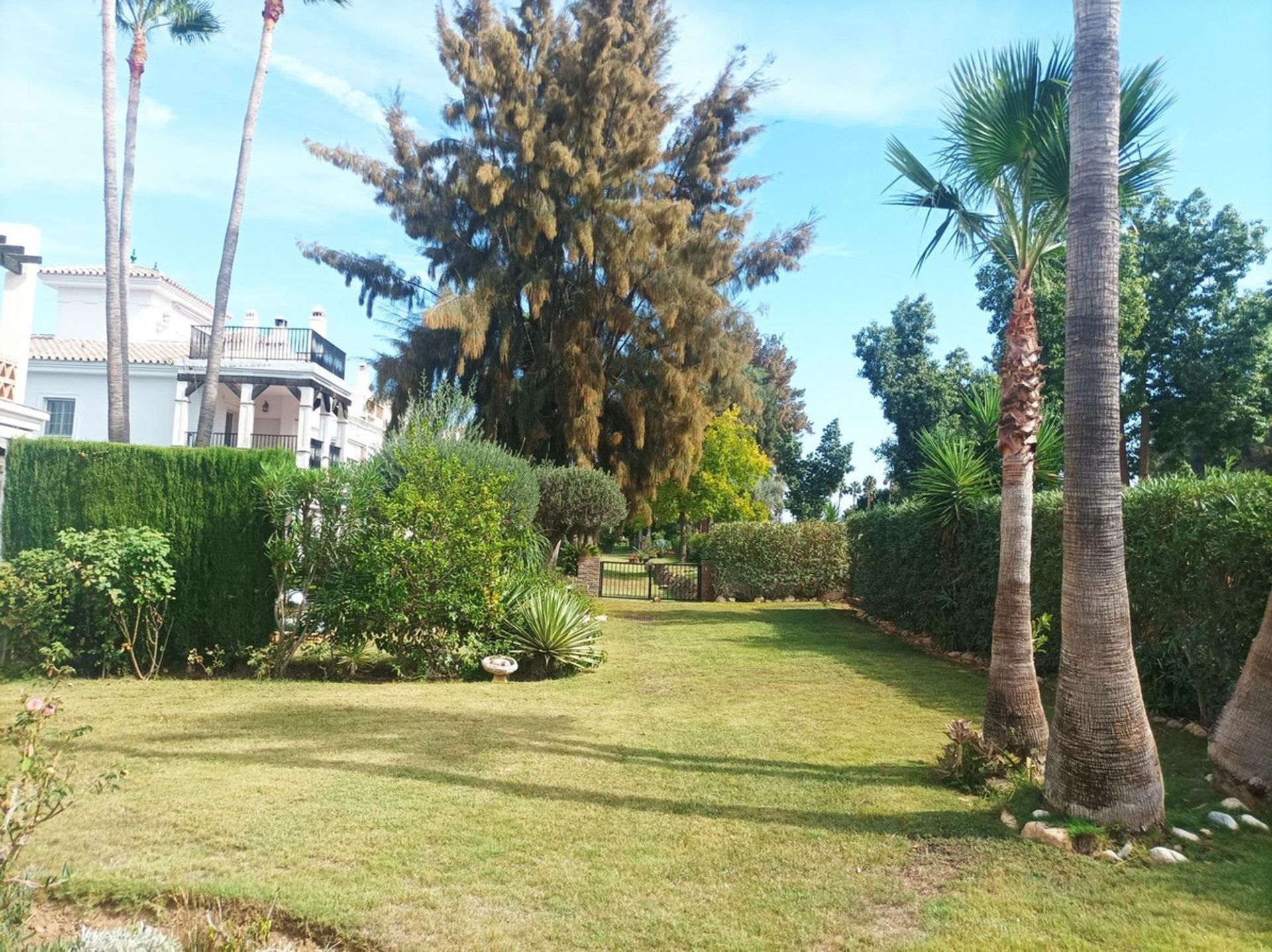 Huis in Alhaurín de la Torre, Andalusia 12350379