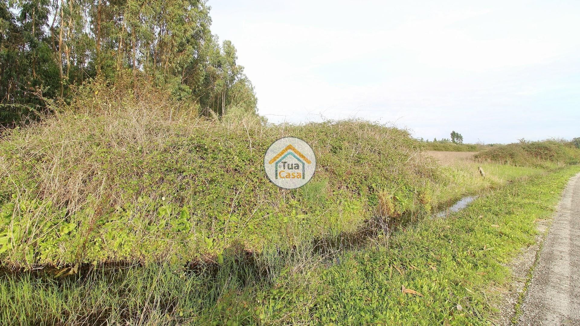 Tierra en Santo Varao, Coímbra 12352000