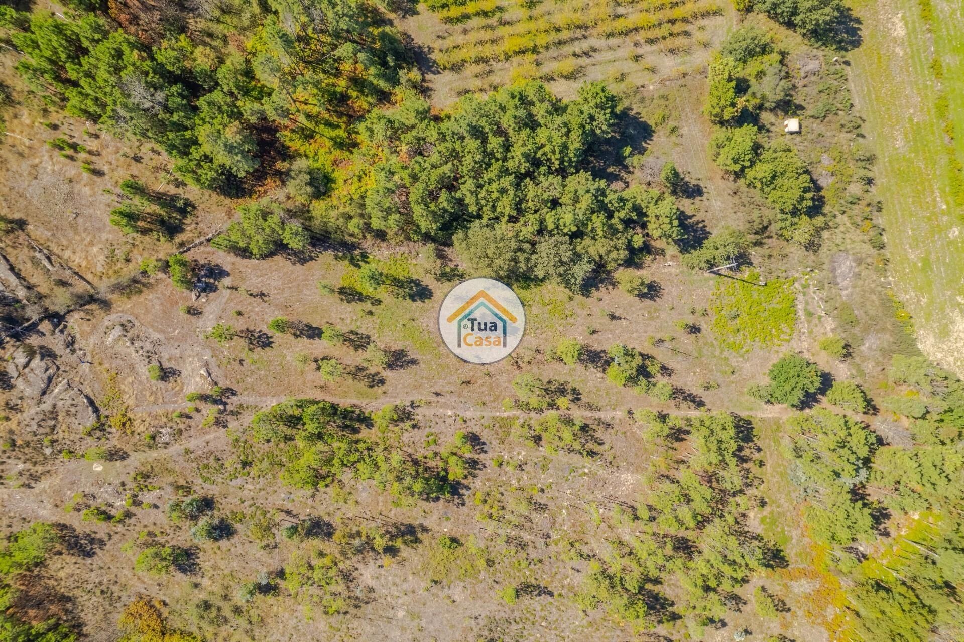 Land in Várzea de Tavares, Viseu 12352002