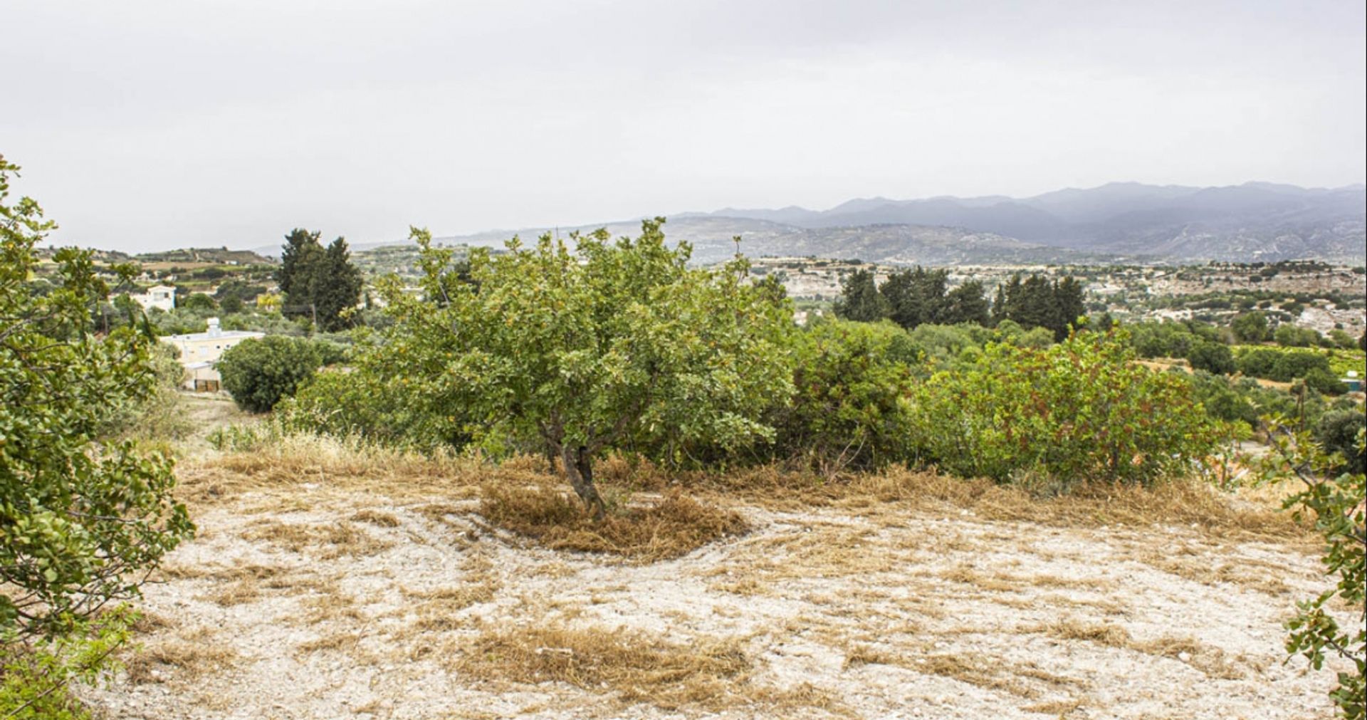 Hus i Kallepia, Paphos 12353911