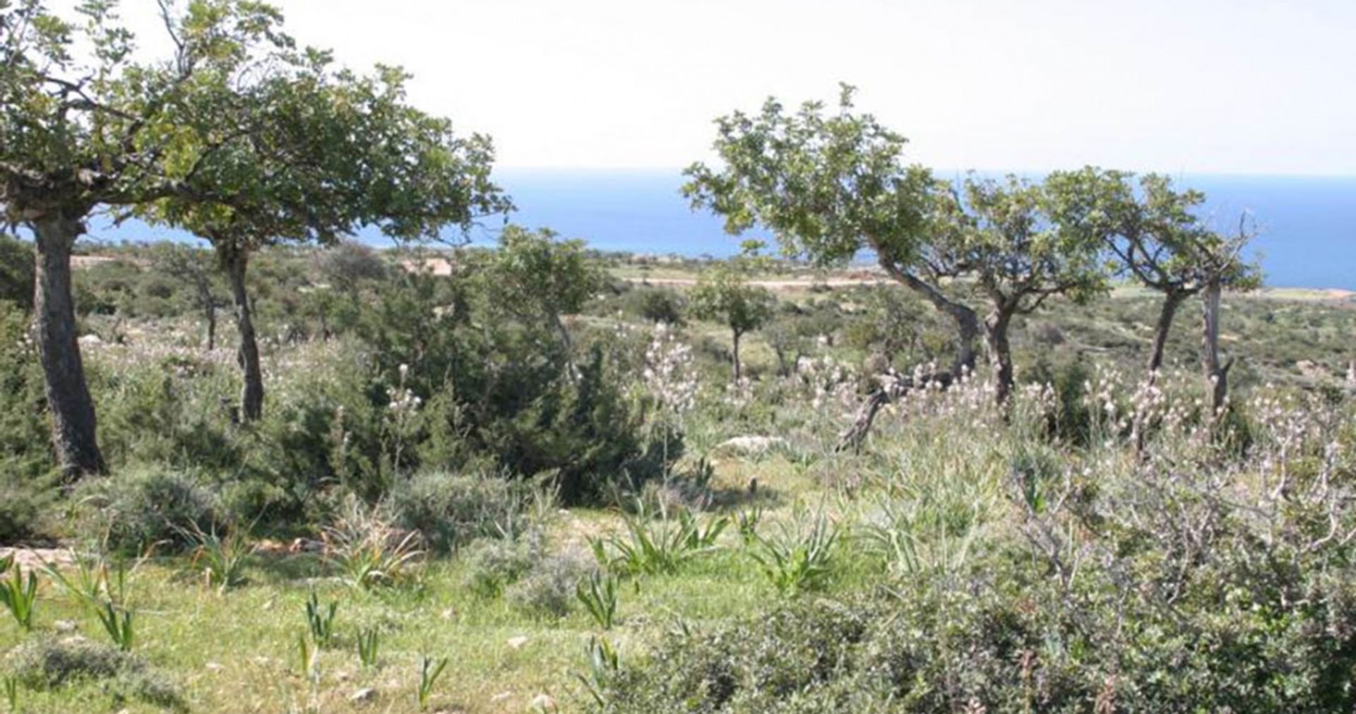 rumah dalam Peyia, Paphos 12354003