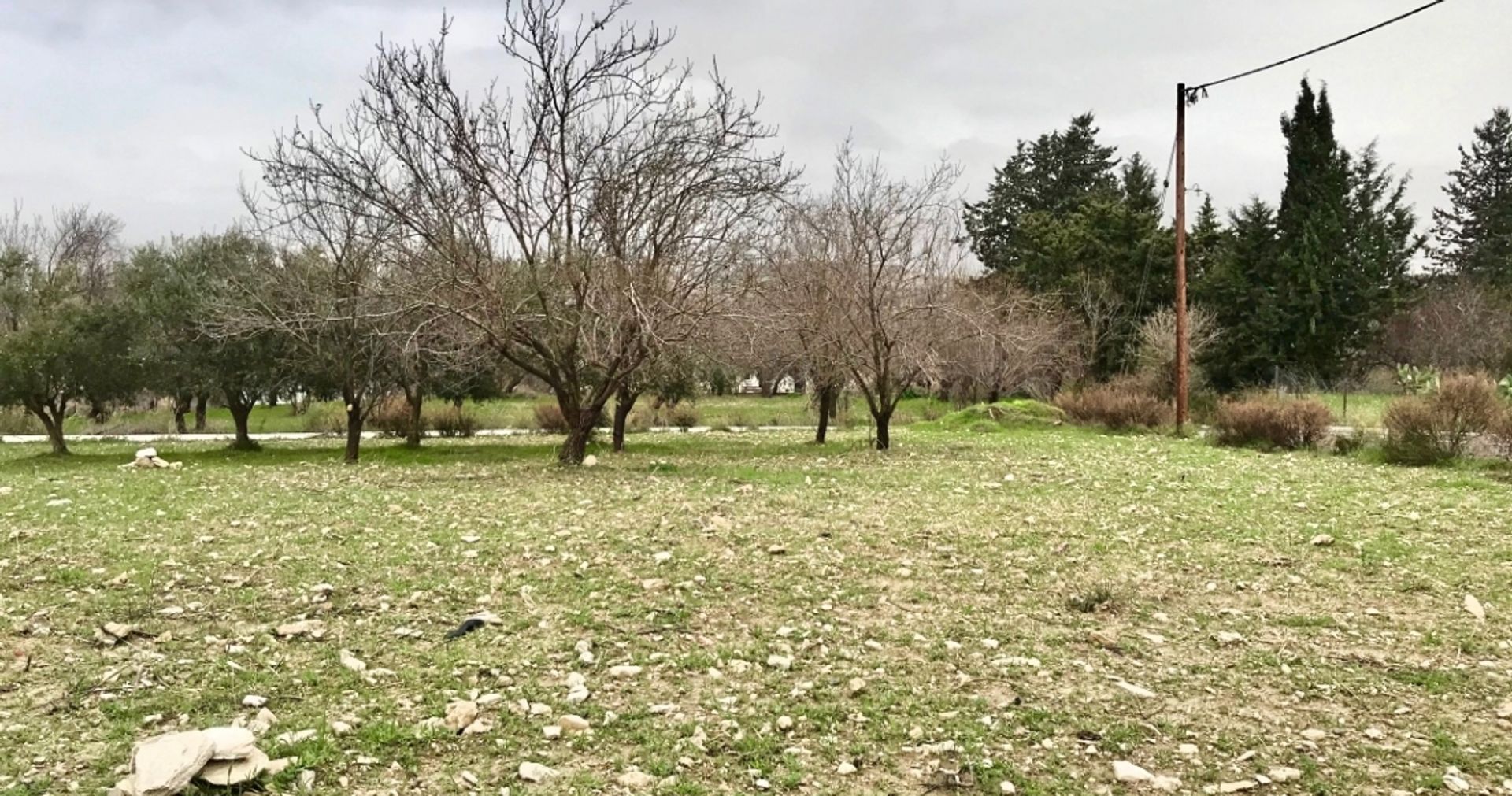 Land in Mesa Chorio, Pafos 12354009