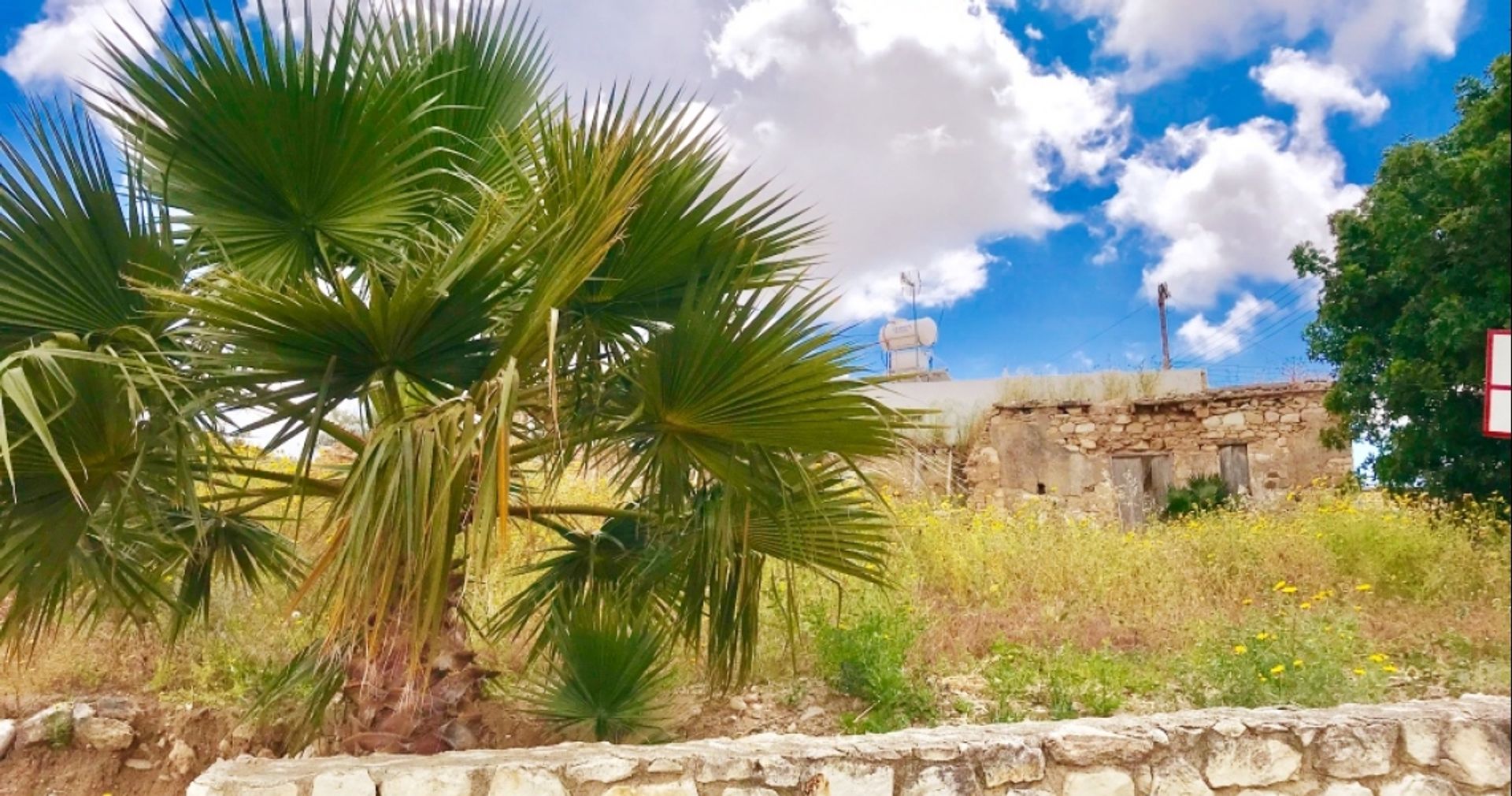 Land im Agia Marinouda, Pafos 12354110