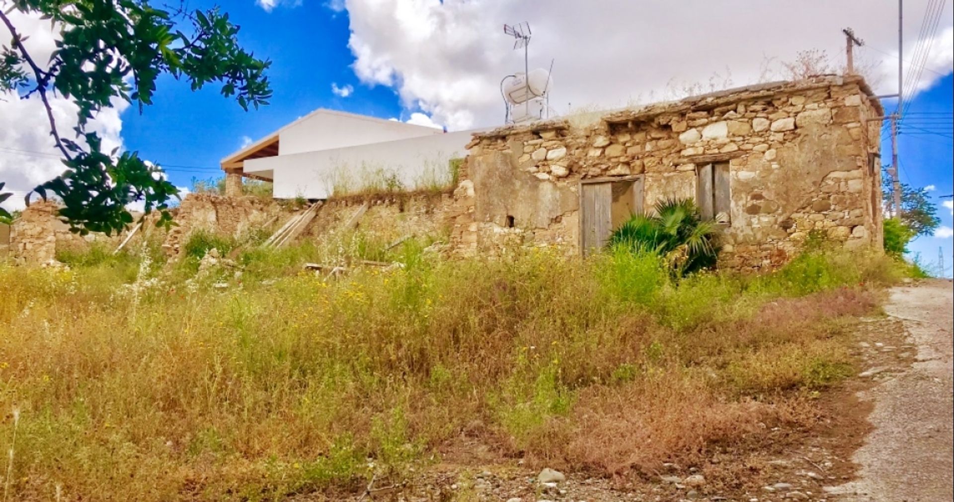 Land in Agia Marinouda, Pafos 12354110