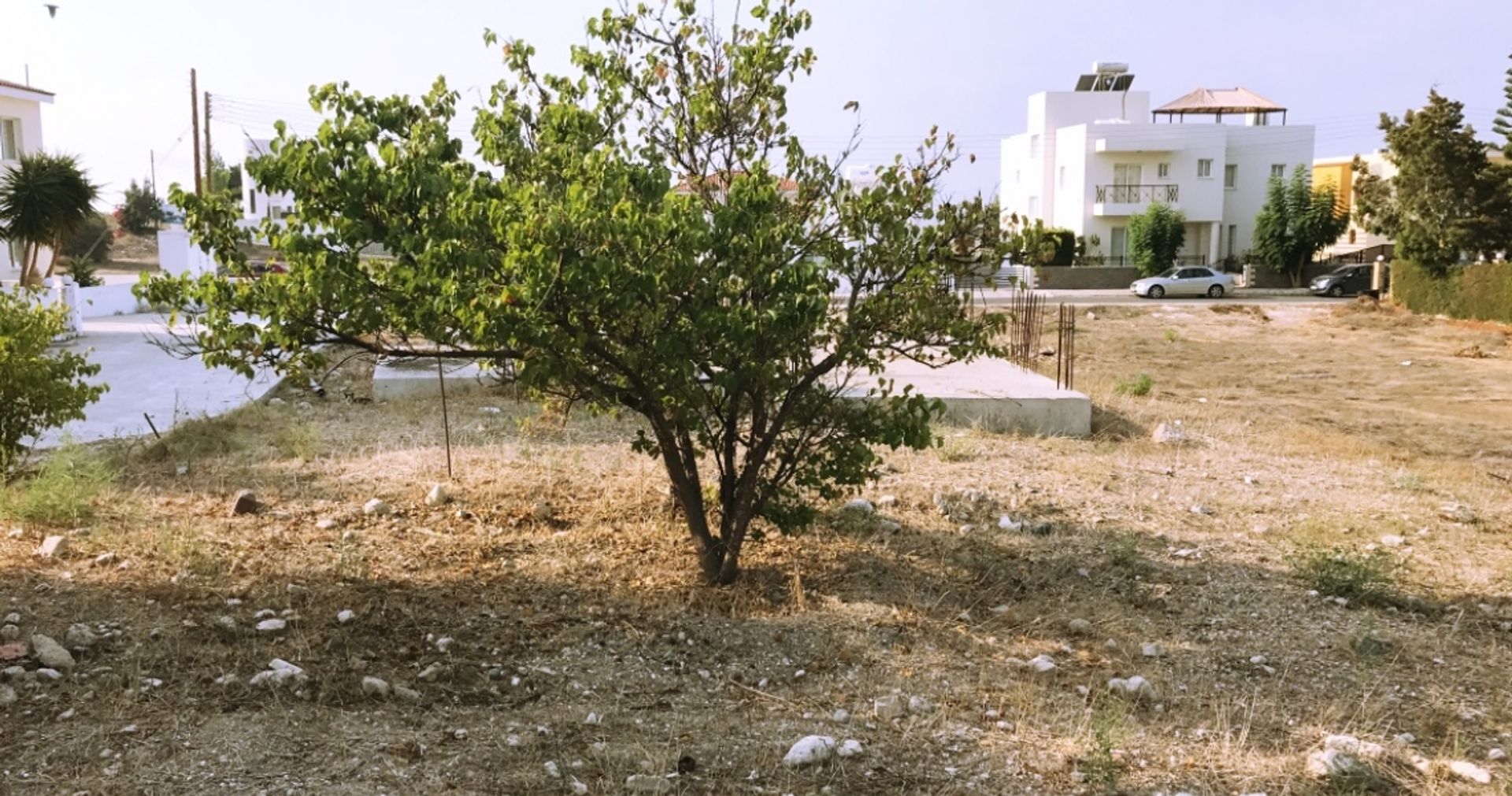 Land in Koloni, Pafos 12354143