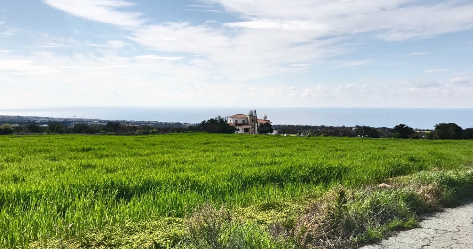 Land in Tala, Pafos 12354154