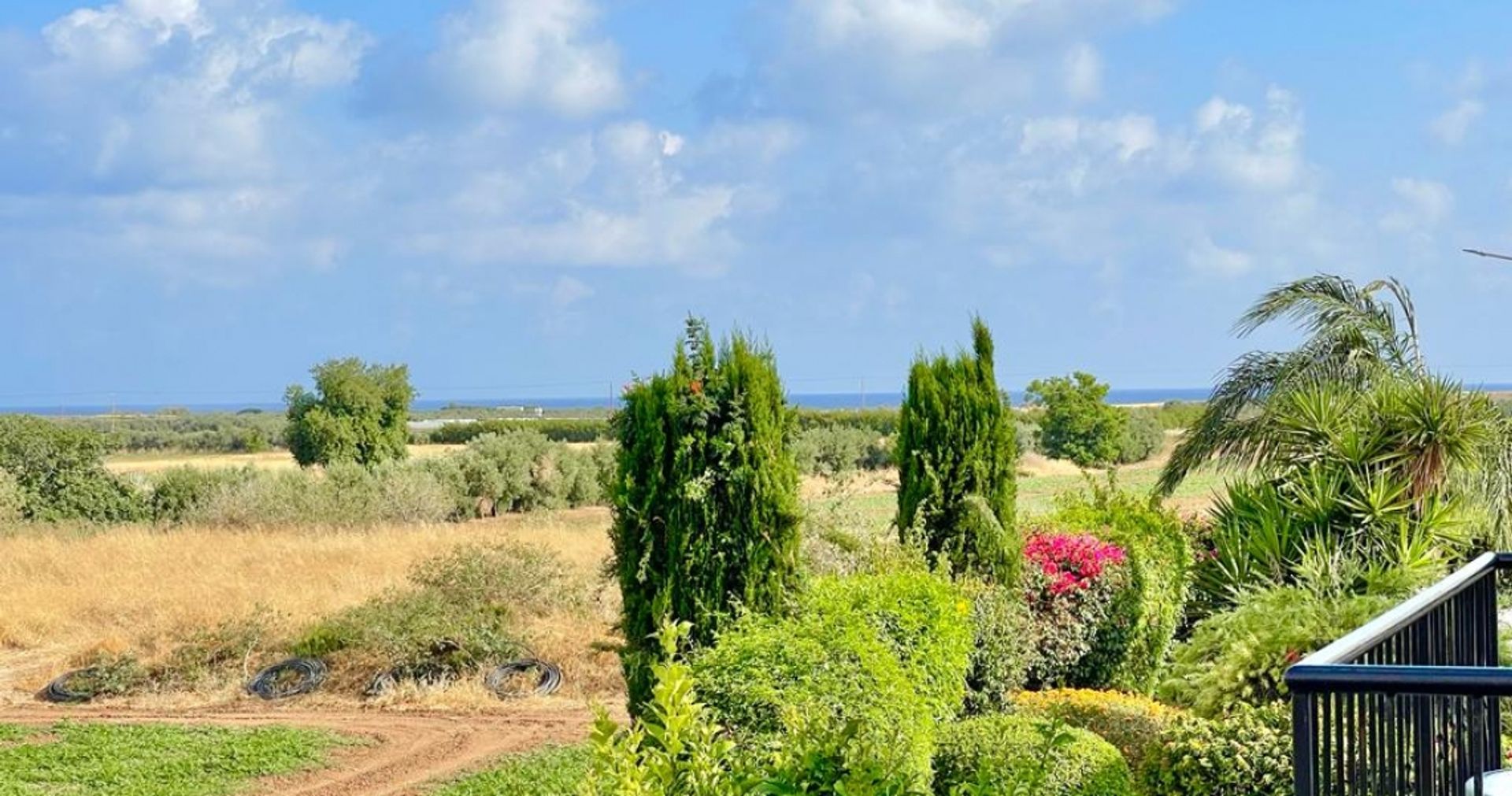 Talo sisään Mandria, Paphos 12354184