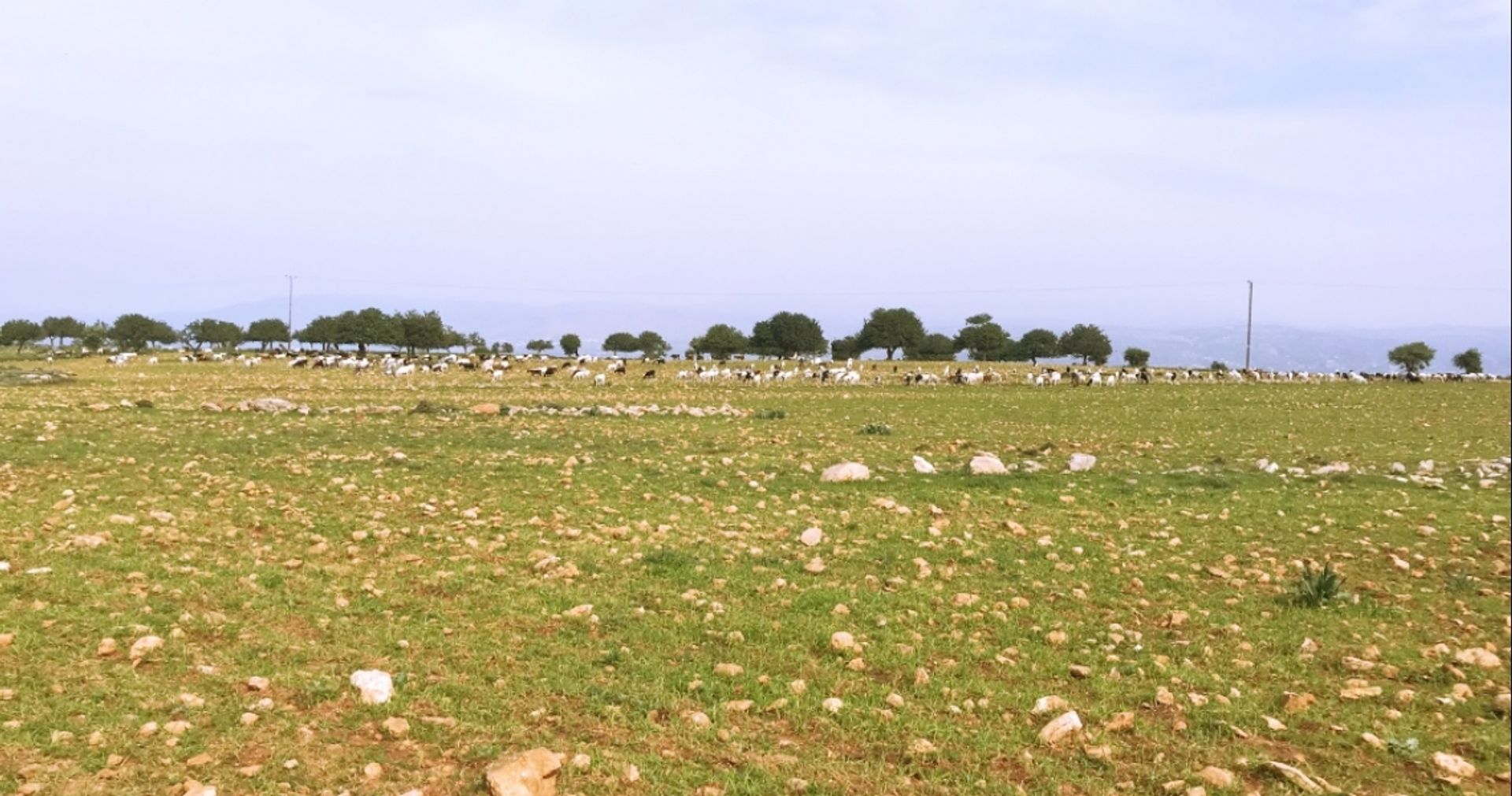 Tierra en Polis, Pafos 12354188