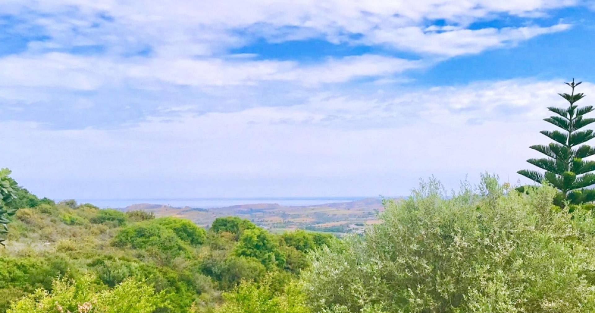 Tanah di kebijakan, Pafos 12354196