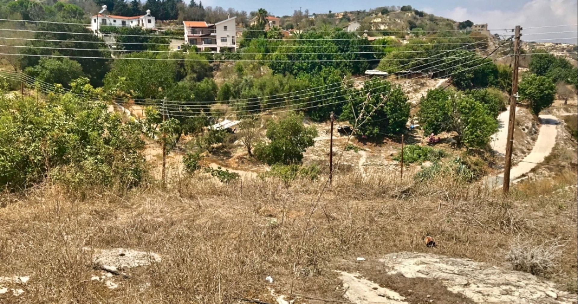 Land in Mesa Chorio, Pafos 12354251