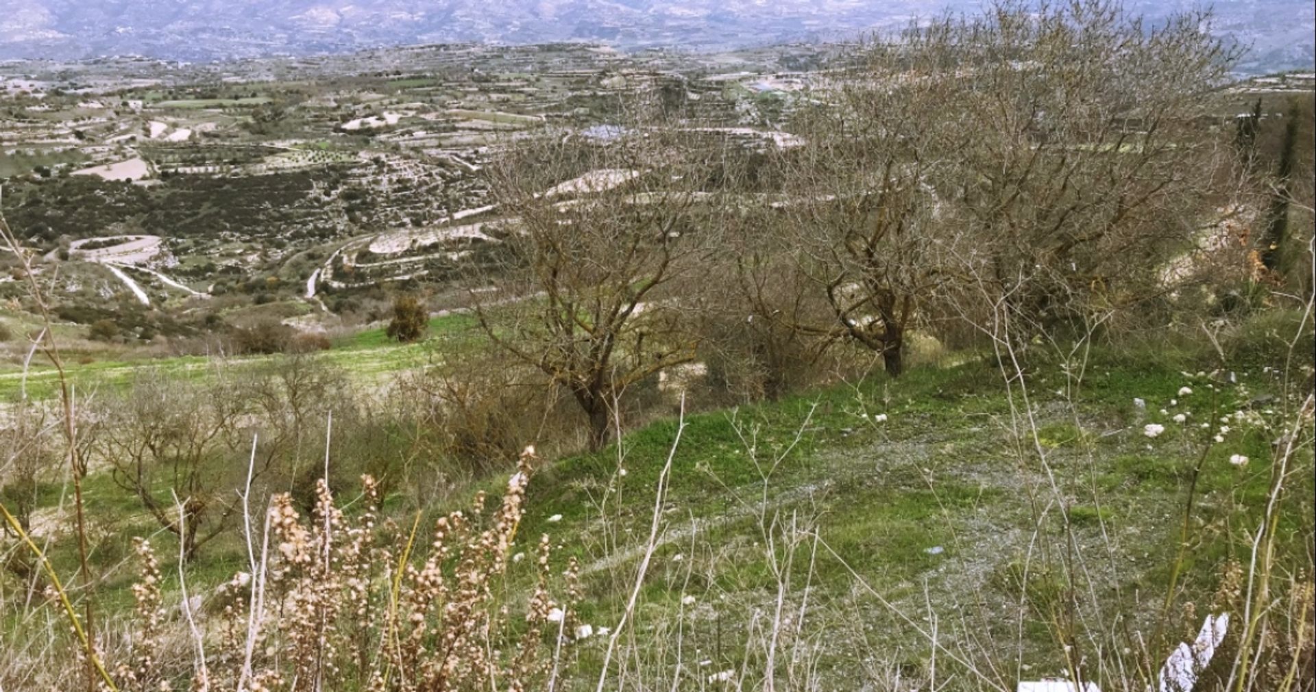 Tanah dalam Mesogi, Pafos 12354271