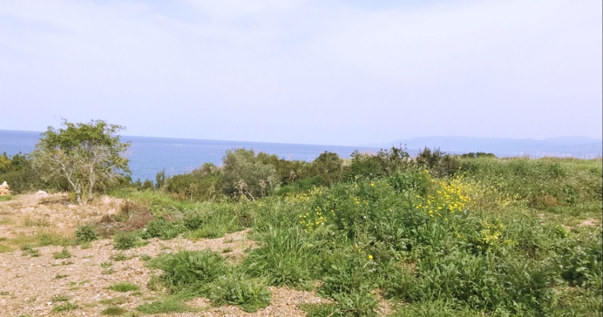 Land in Polis, Pafos 12354283