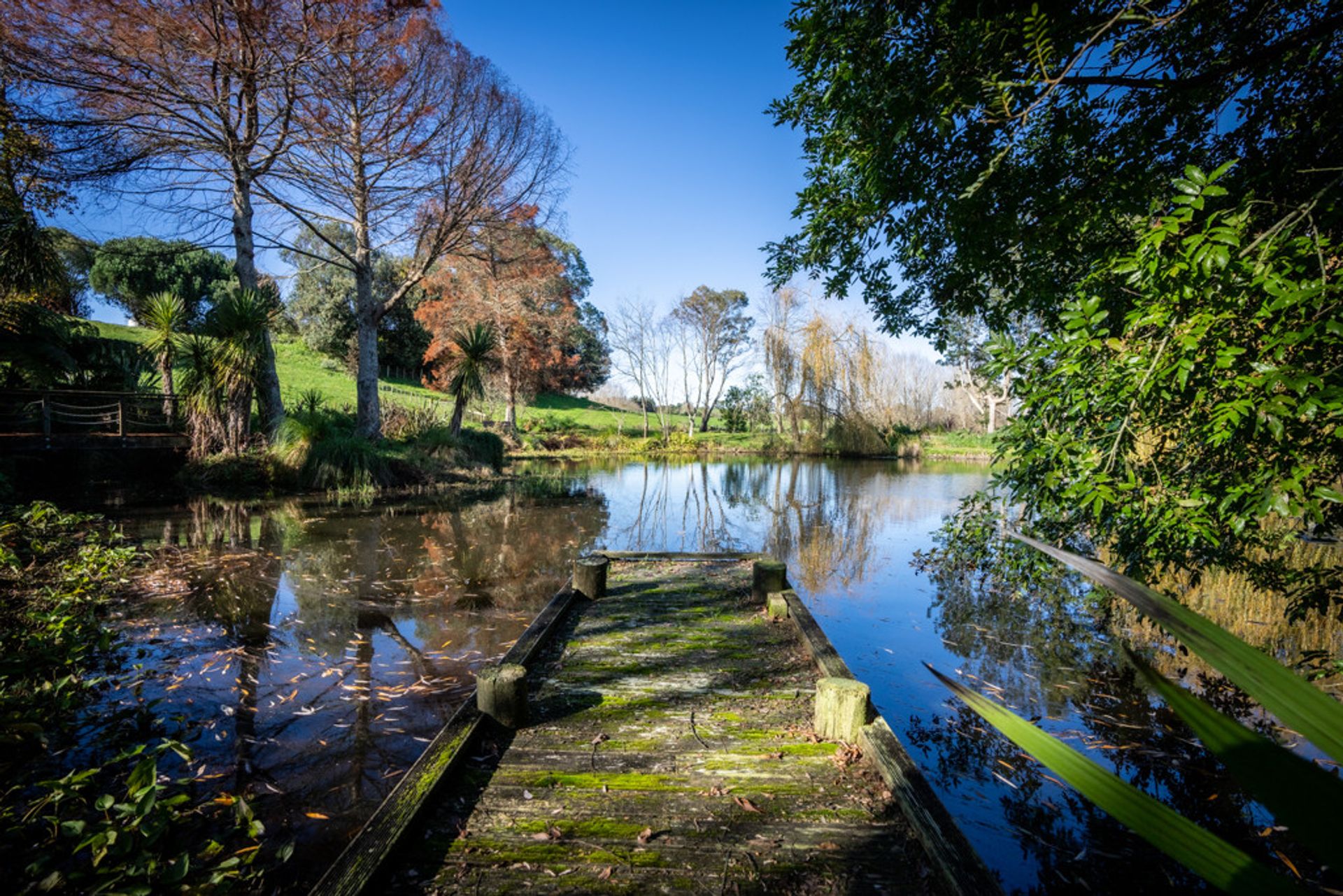 सम्मिलित में , Waikato 12355722