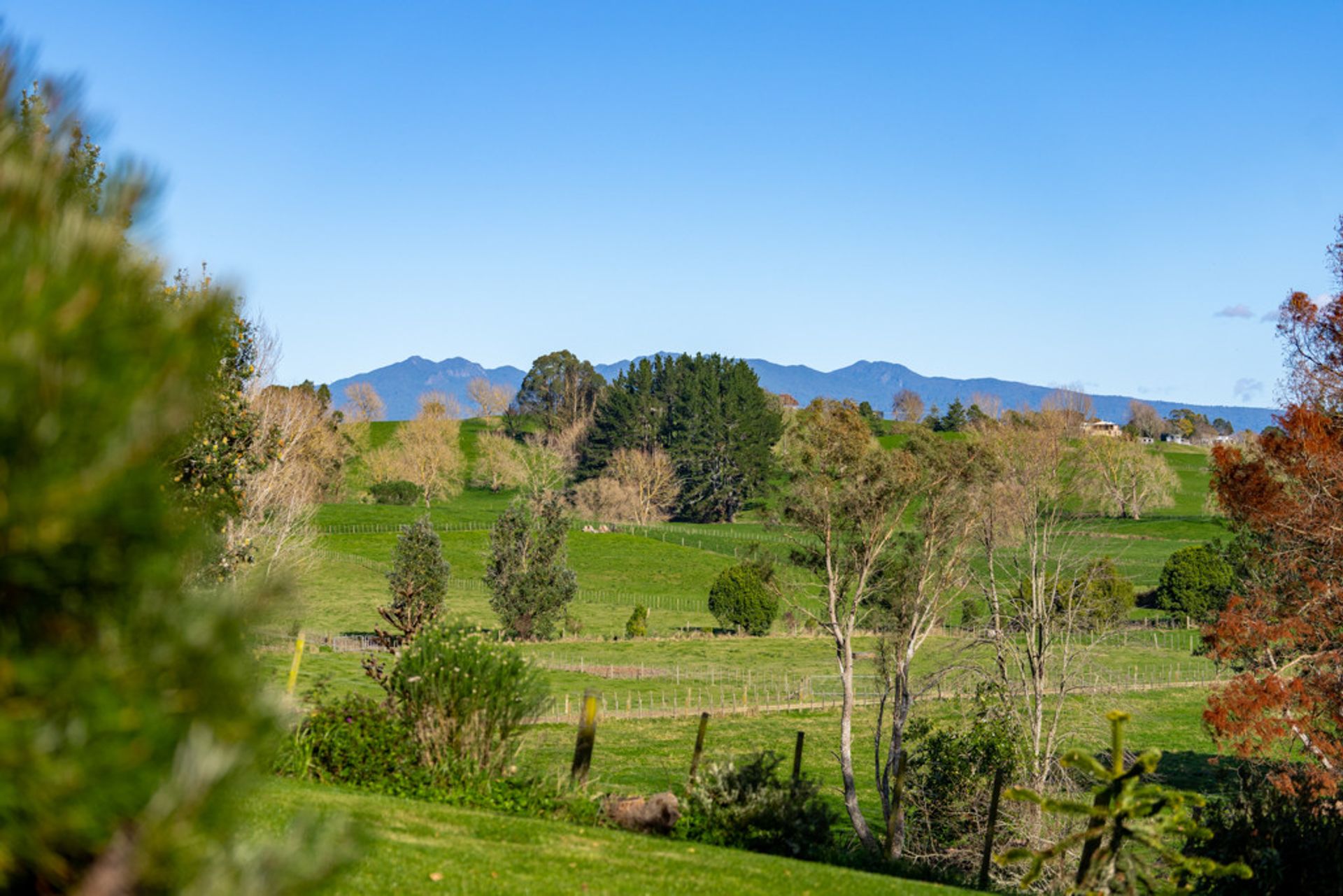 सम्मिलित में , Waikato 12355722