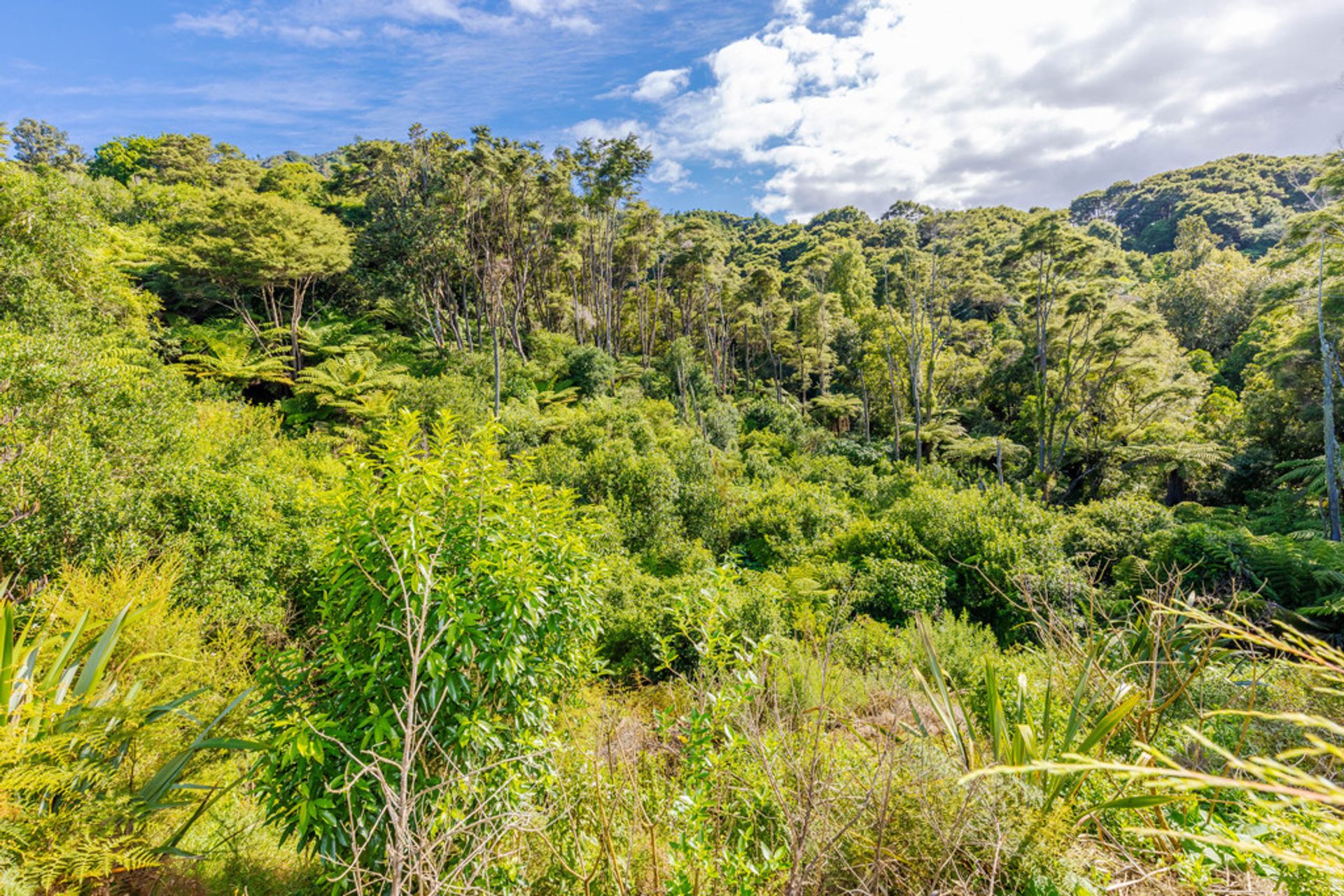 公寓 在 Ngāruawāhia, Waikato 12355738