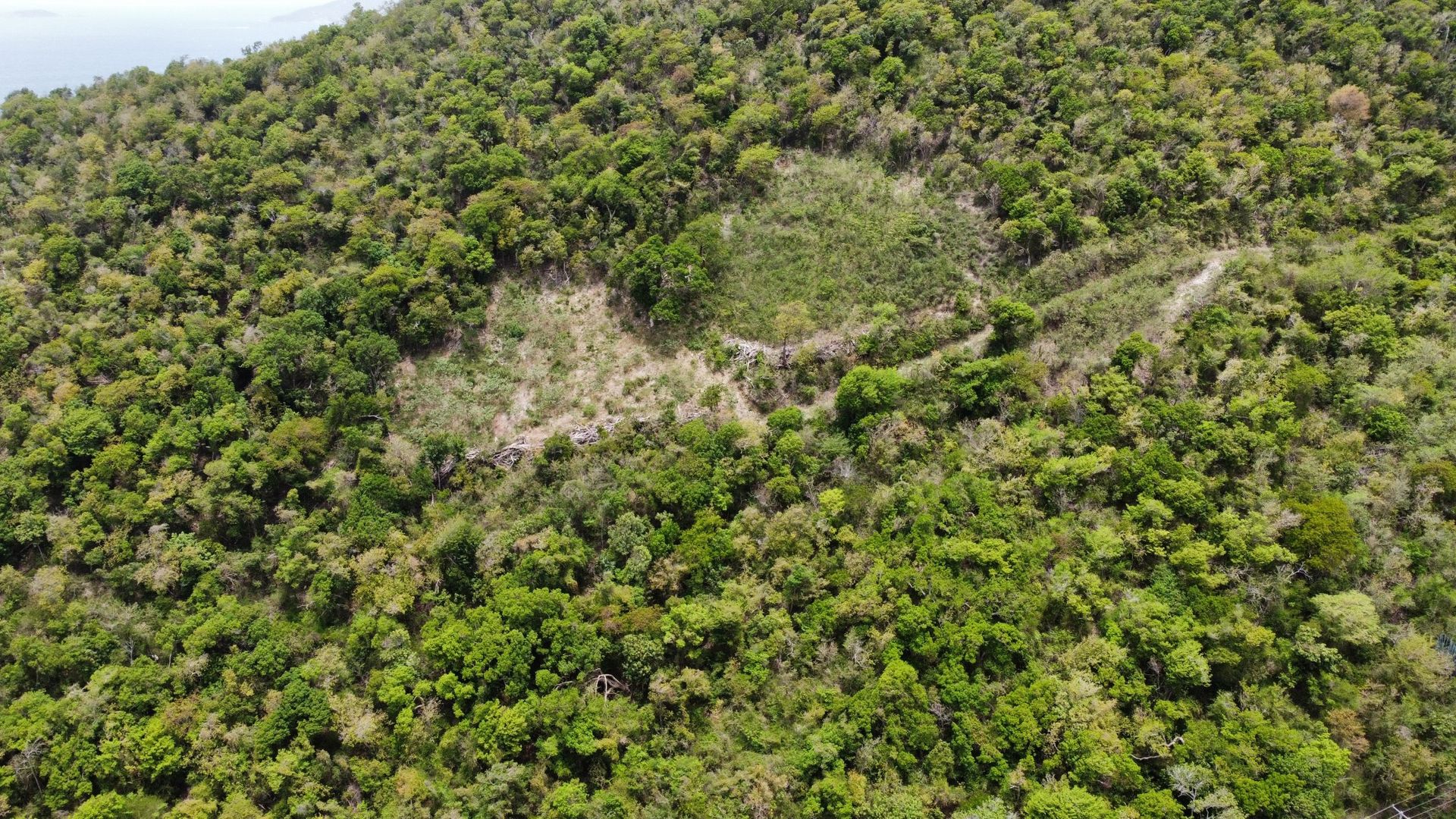 Sbarcare nel Baia dei Coralli, Isole Vergini 12356137