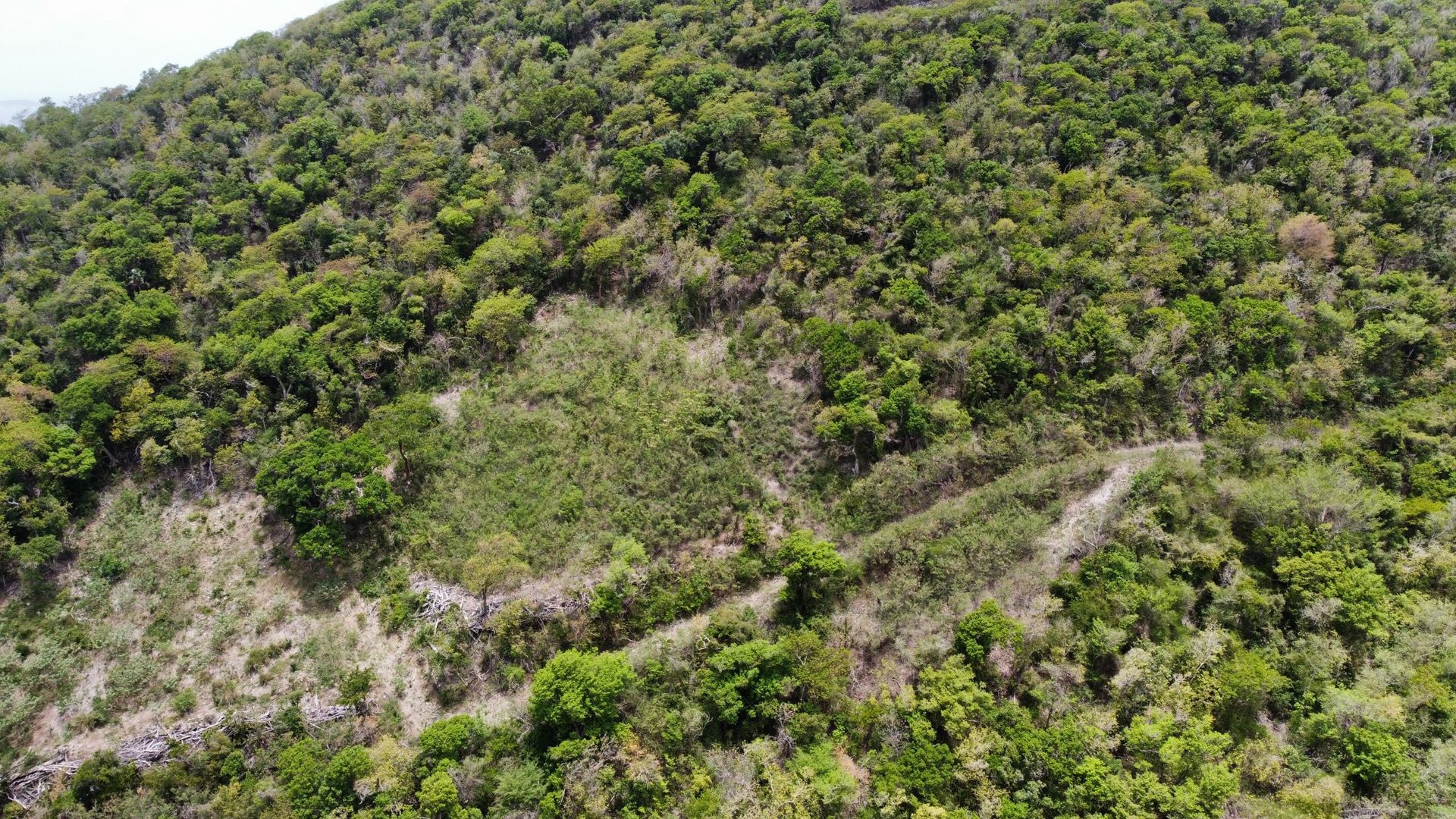 Sbarcare nel Baia dei Coralli, Isole Vergini 12356137