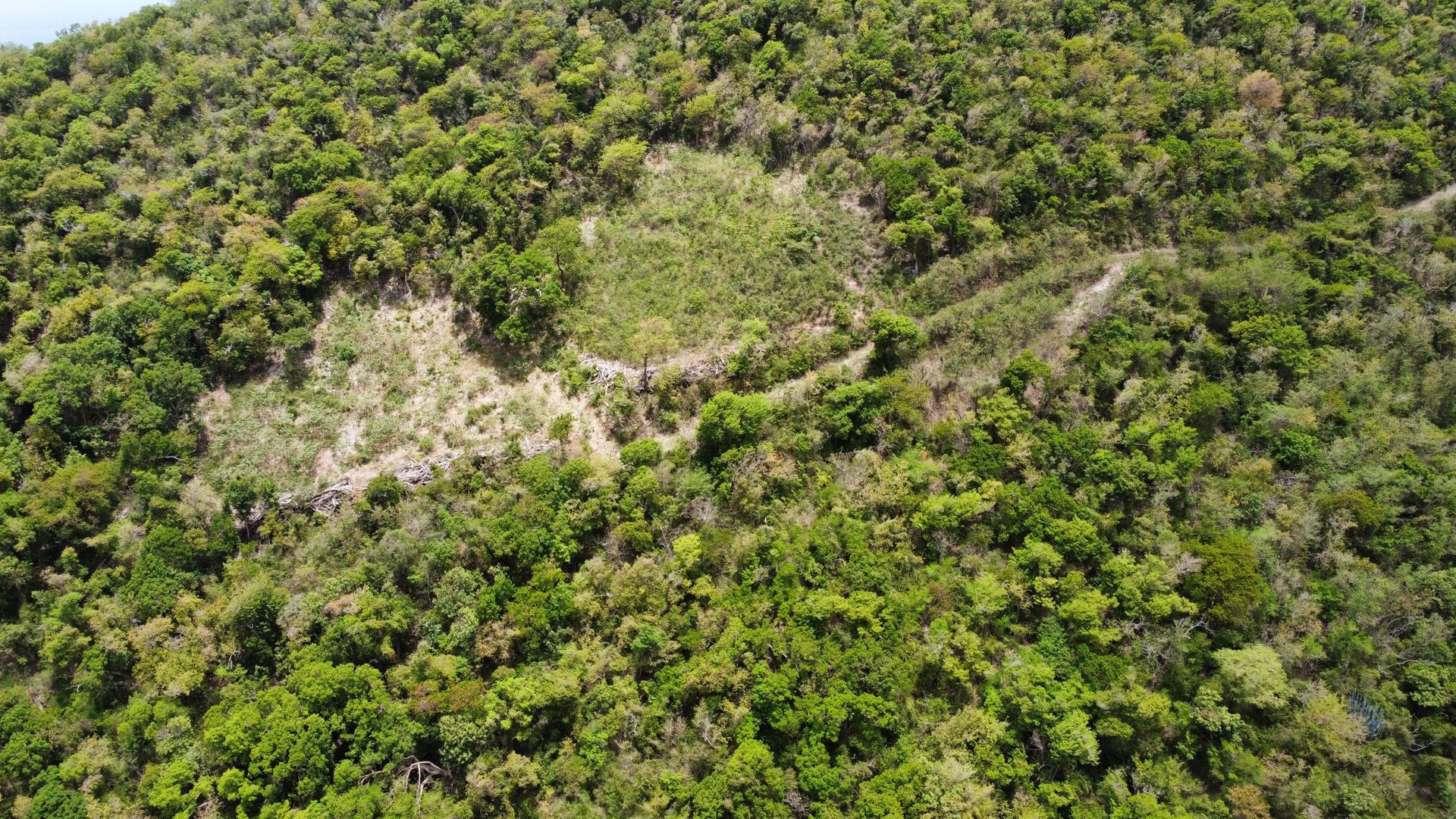 Sbarcare nel Baia dei Coralli, Isole Vergini 12356137