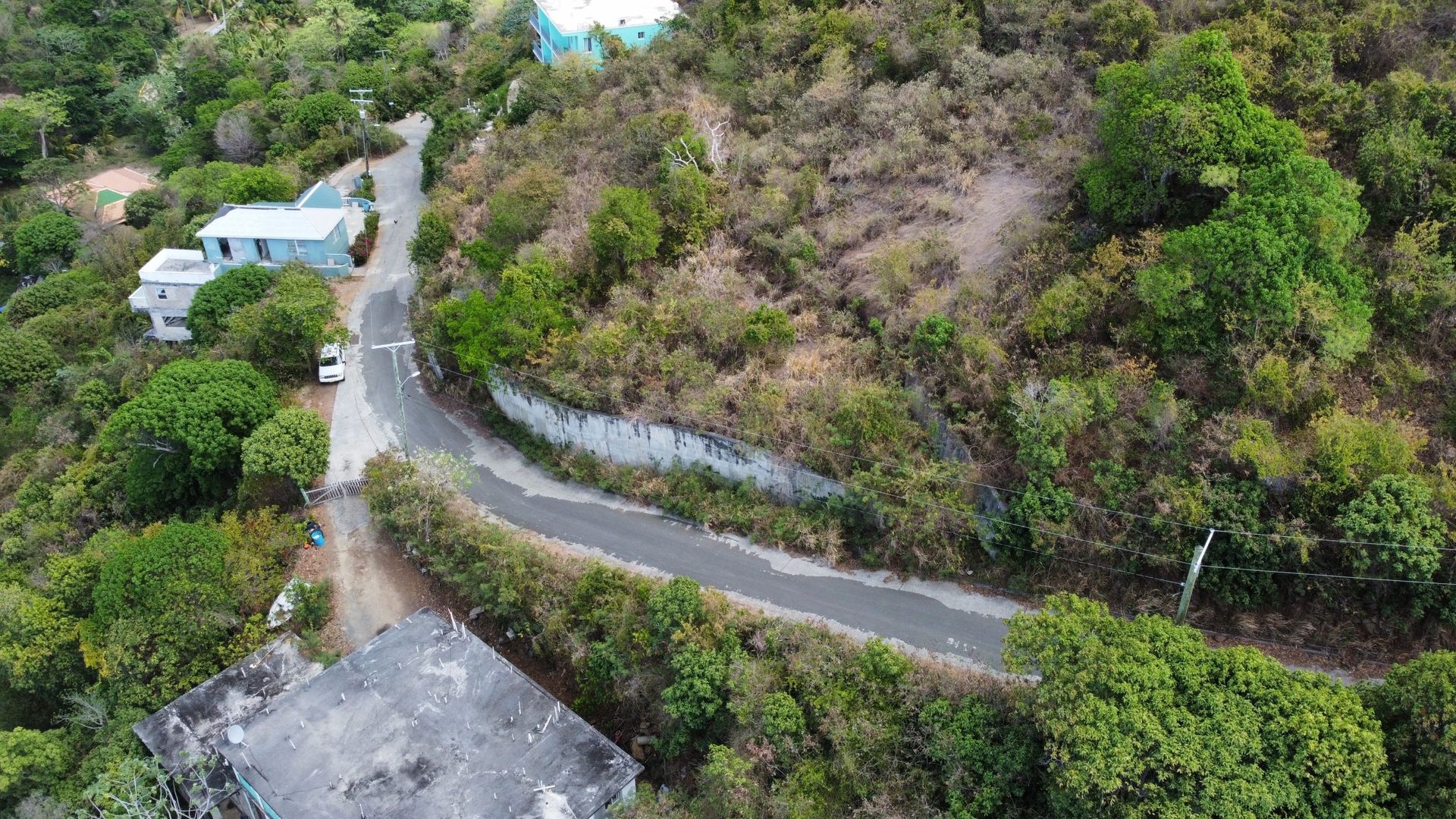 Sbarcare nel Baia dei Coralli, Isole Vergini 12356144