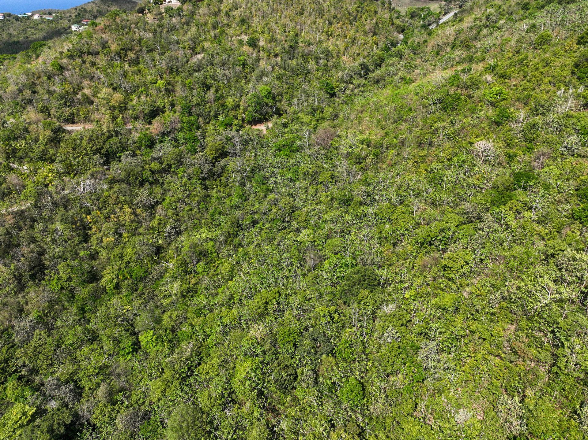 Tanah di Teluk Karang, Virgin Islands 12356146