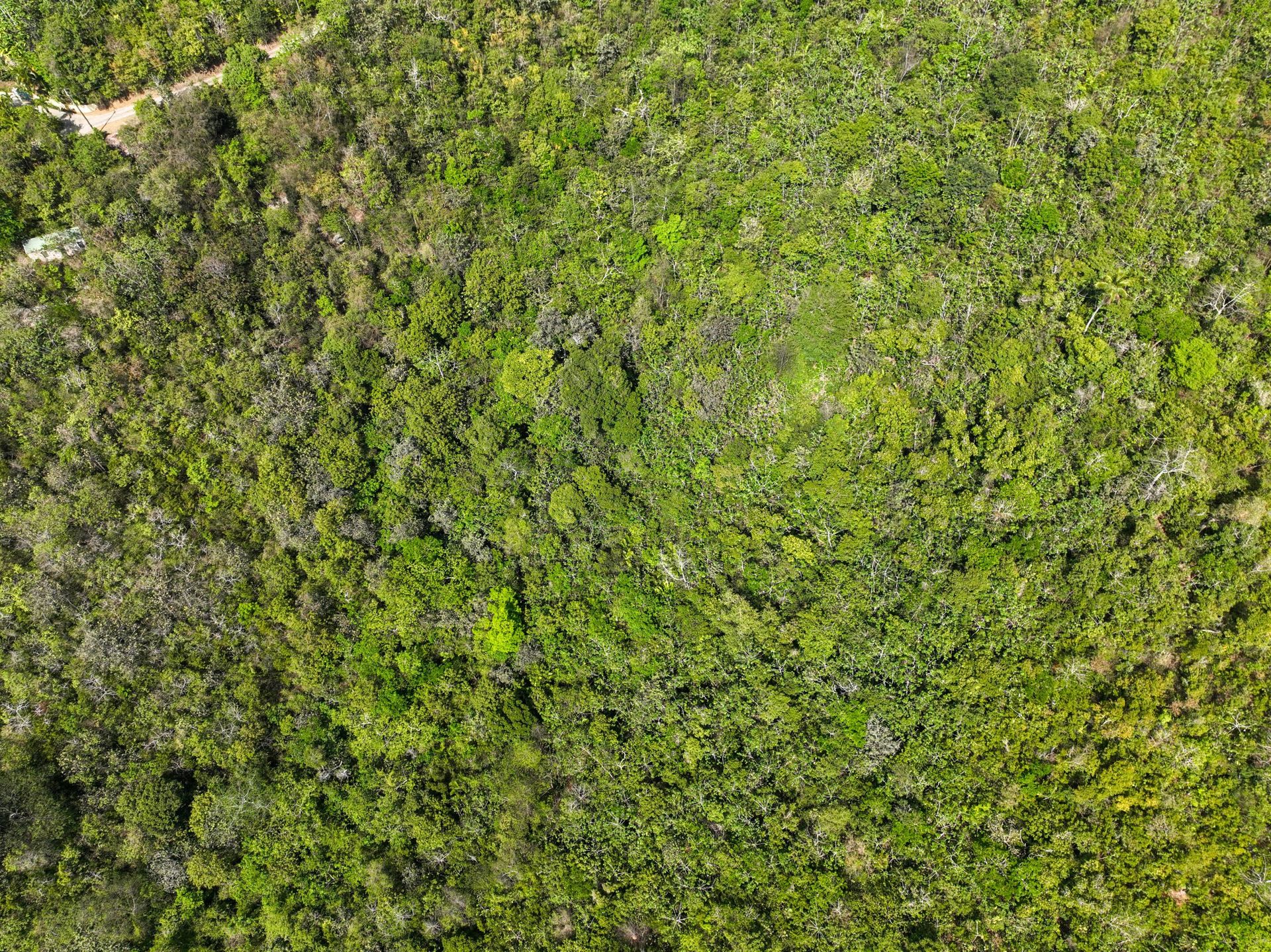 Land i Coral Bay, Jomfruøyene 12356146