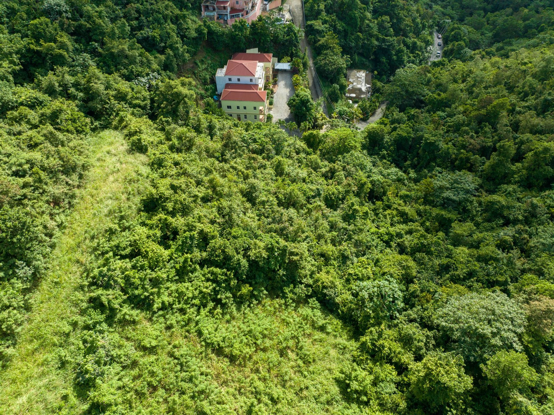 Sbarcare nel Baia dei Coralli, Isole Vergini 12356152