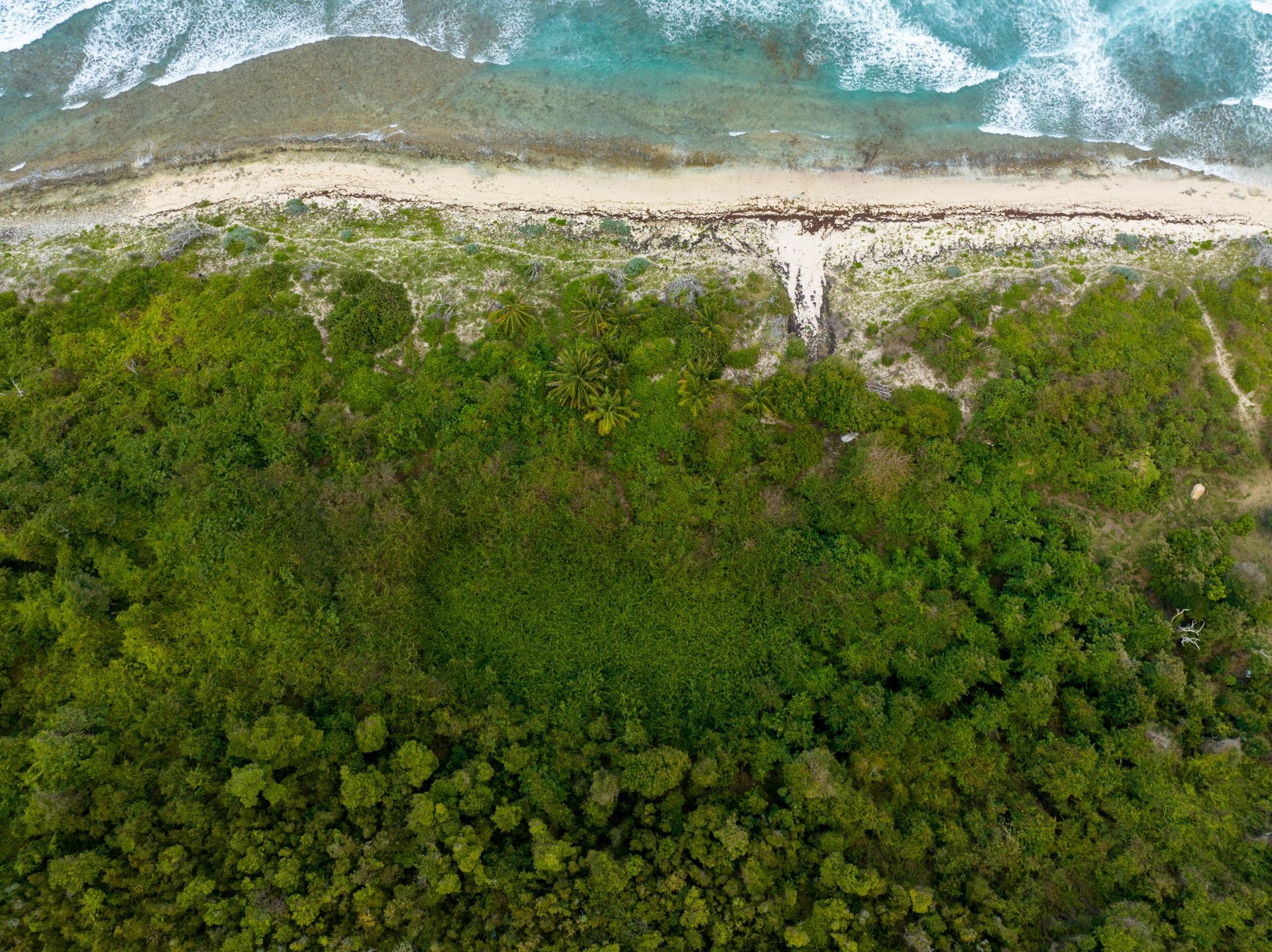 Земельные участки в , Tortola 12356162