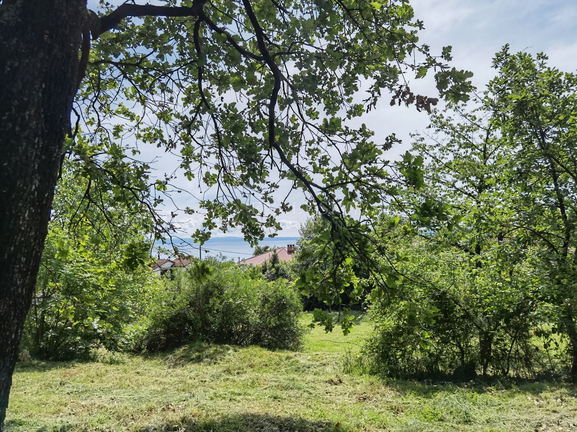 Terre dans Ika, Primorsko-Goranska Zupanija 12358310