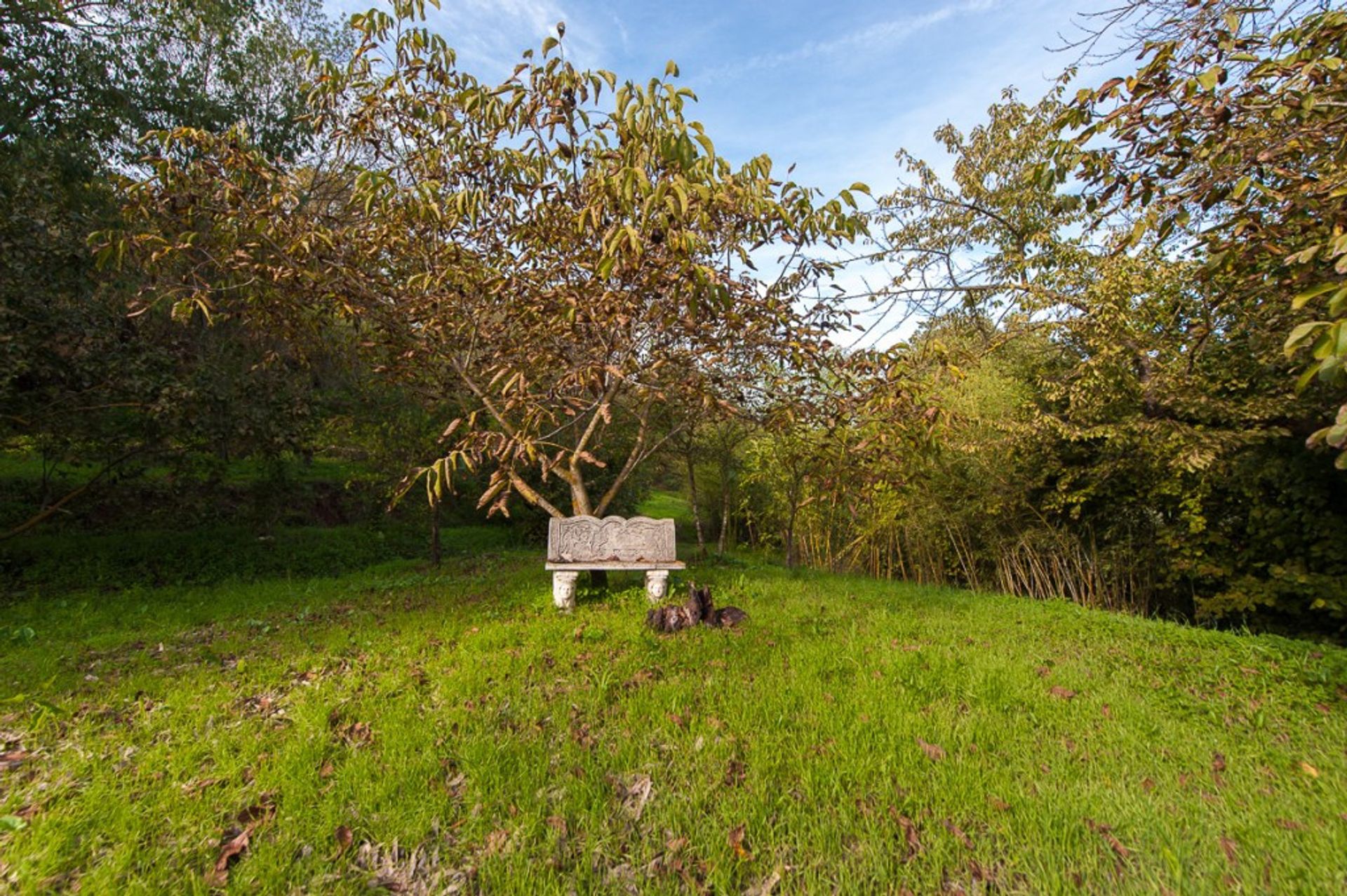 집 에 Coín, Andalusia 12359489