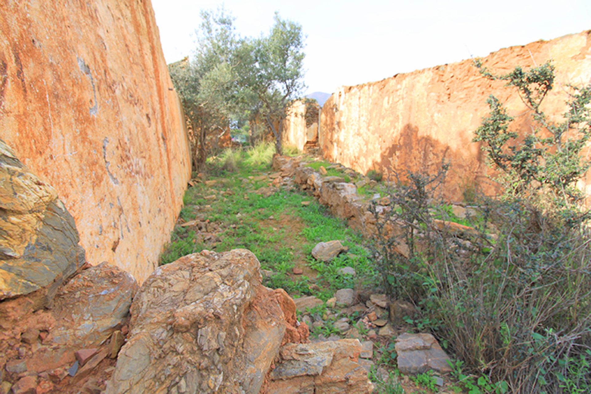 Terre dans Entrerríos, Extremadura 12359492