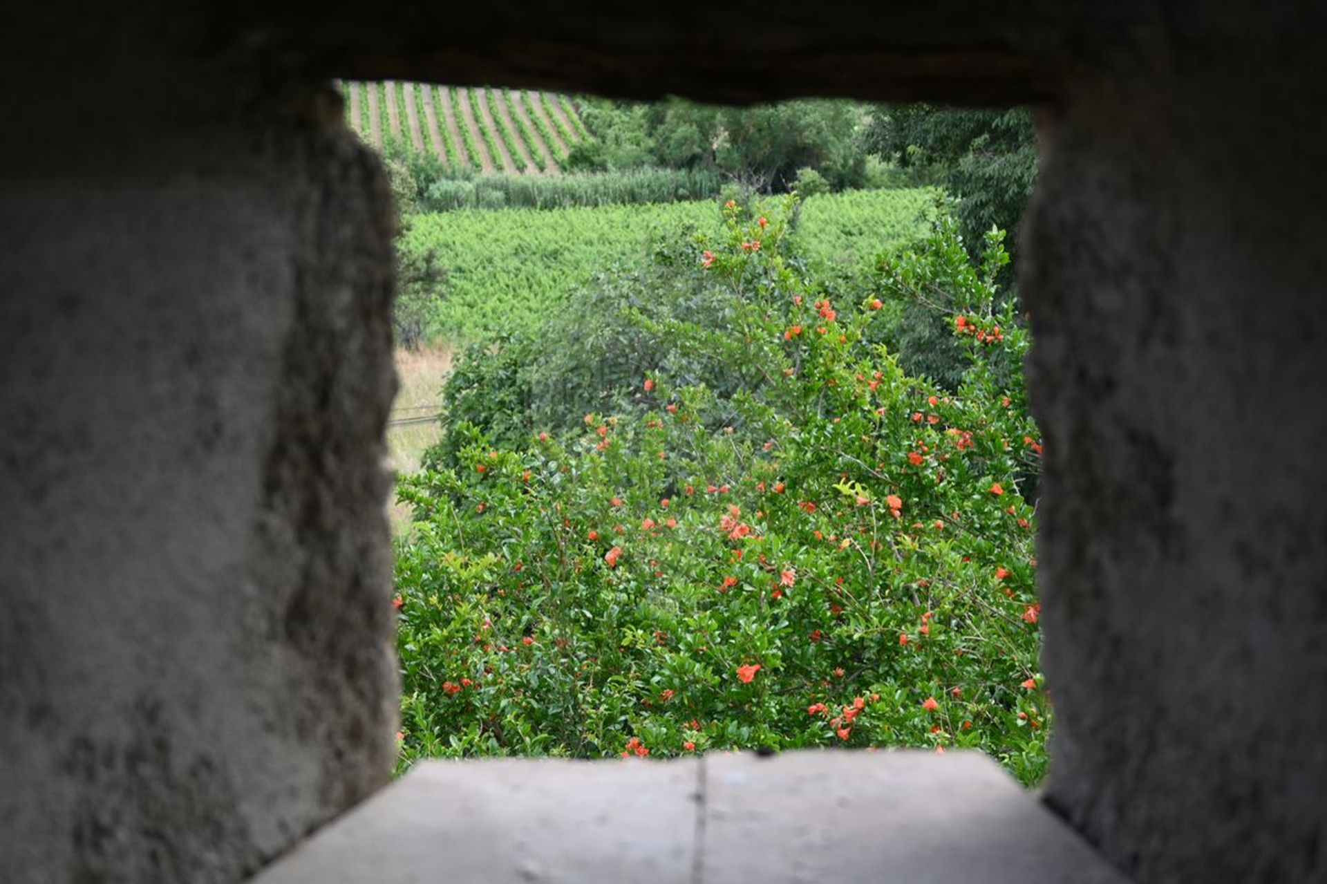 Casa nel Saint-Pons-de-Mauchiens, Occitanie 12362373