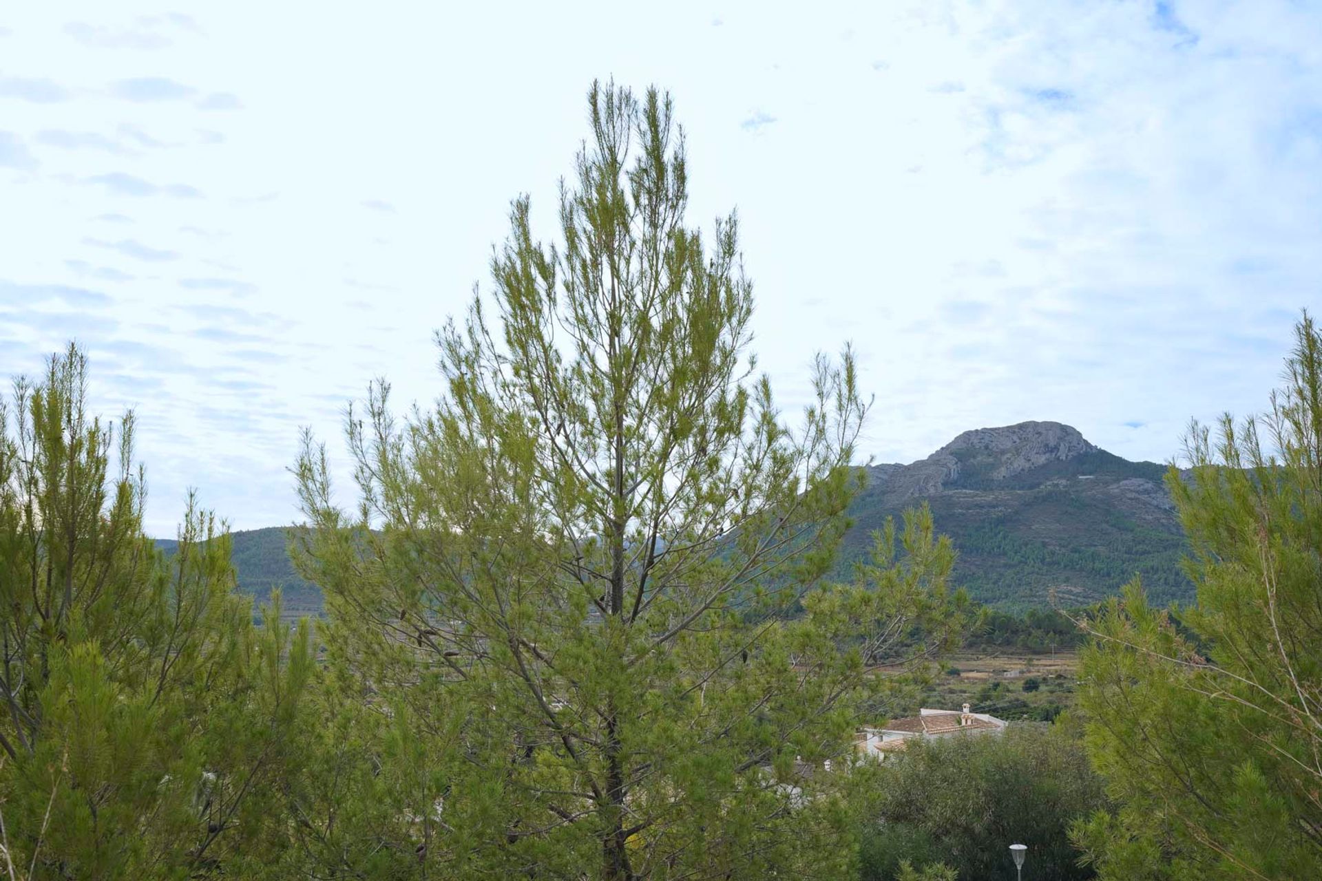 Tanah di Alcalalí, Comunidad Valenciana 12362587