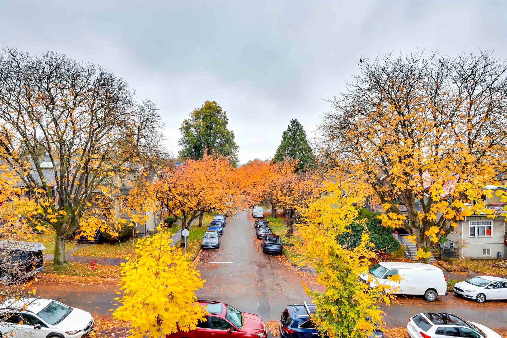 آخر في Vancouver, British Columbia 12363153