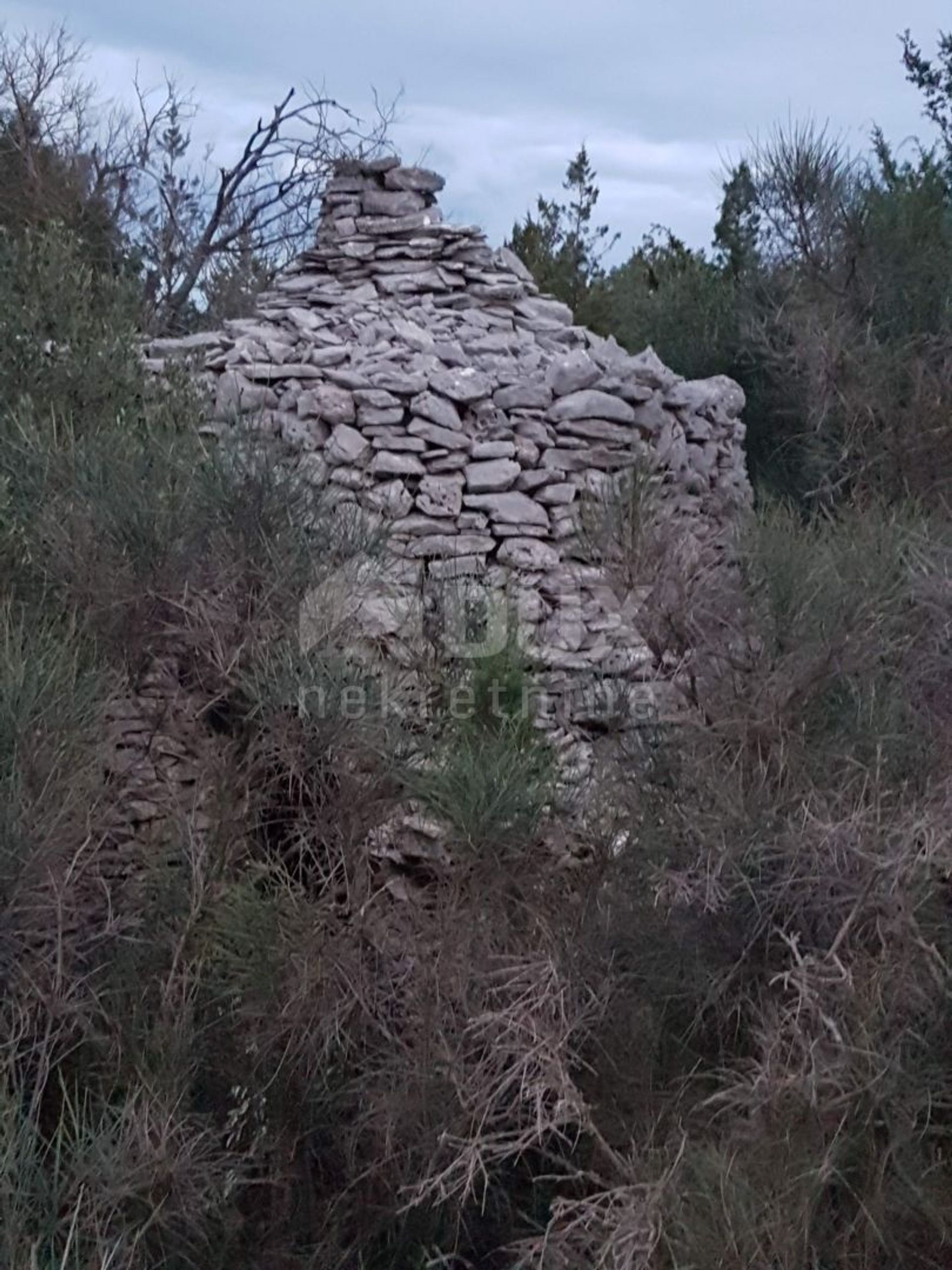 Jord i Starigrad, Splitsko-Dalmatinska Zupanija 12364381